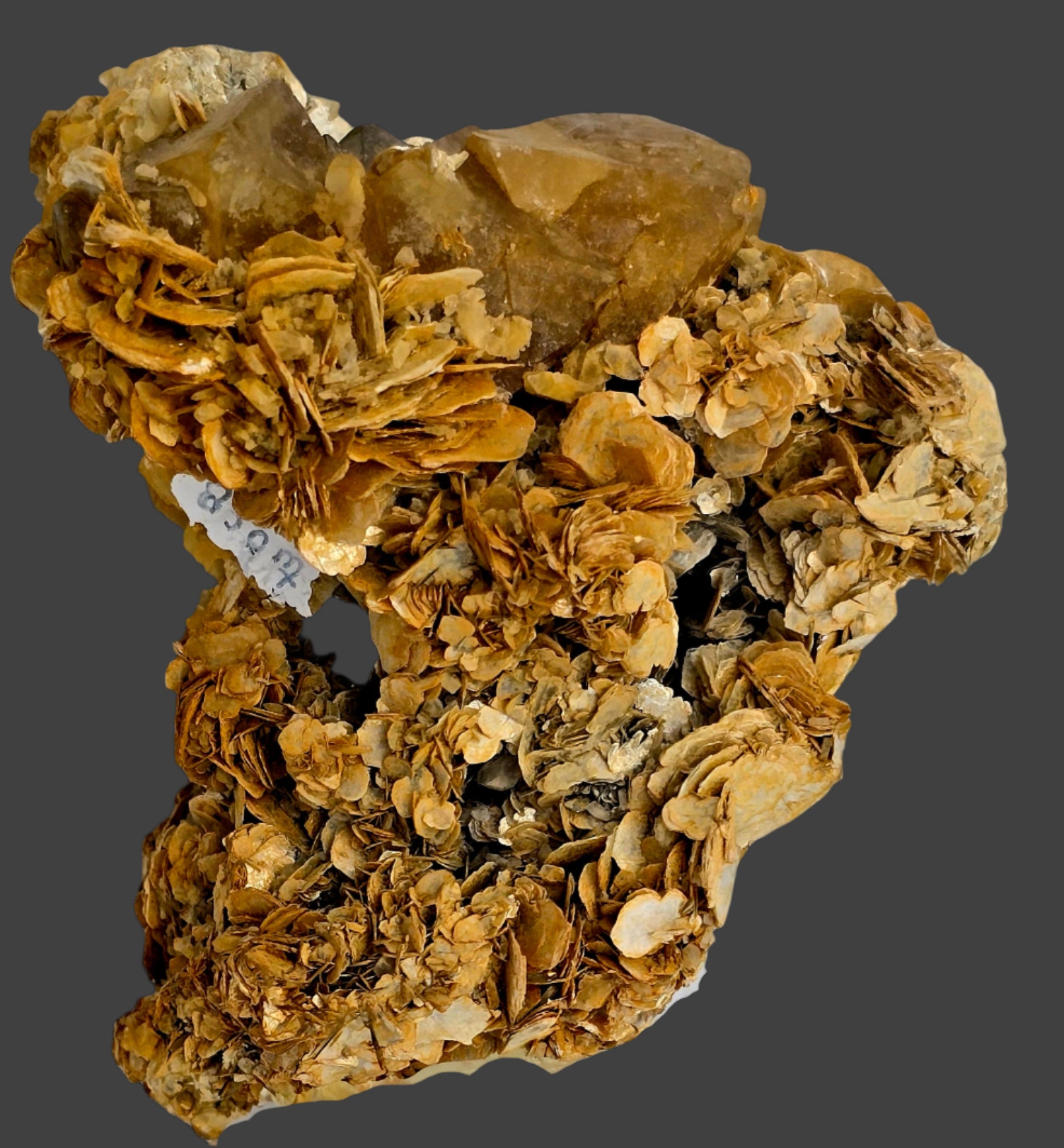 SCHEELITE (3 crystals), MUSCVOVITE with STANNITE  (small cabinet)