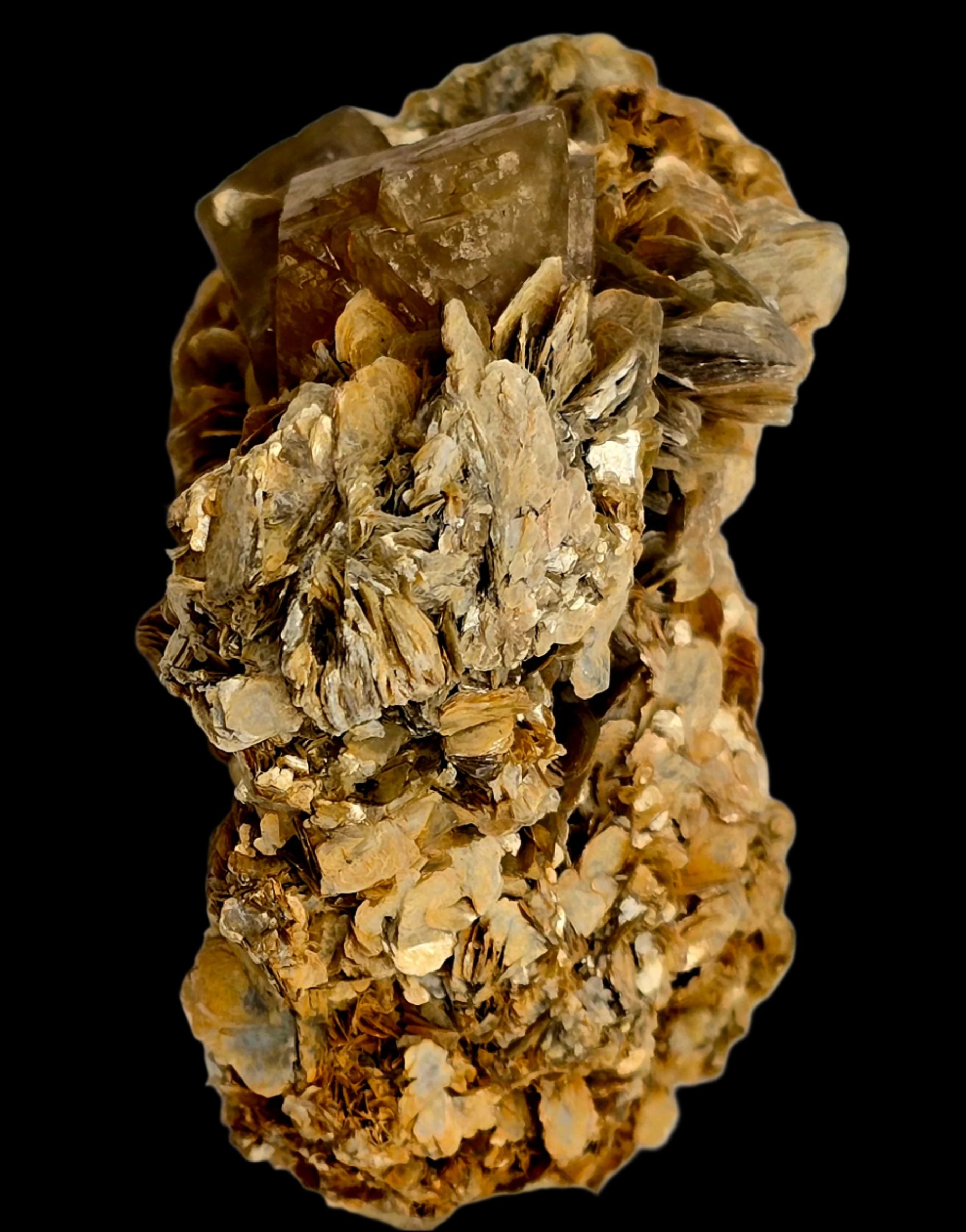 SCHEELITE (3 crystals), MUSCVOVITE with STANNITE  (small cabinet)