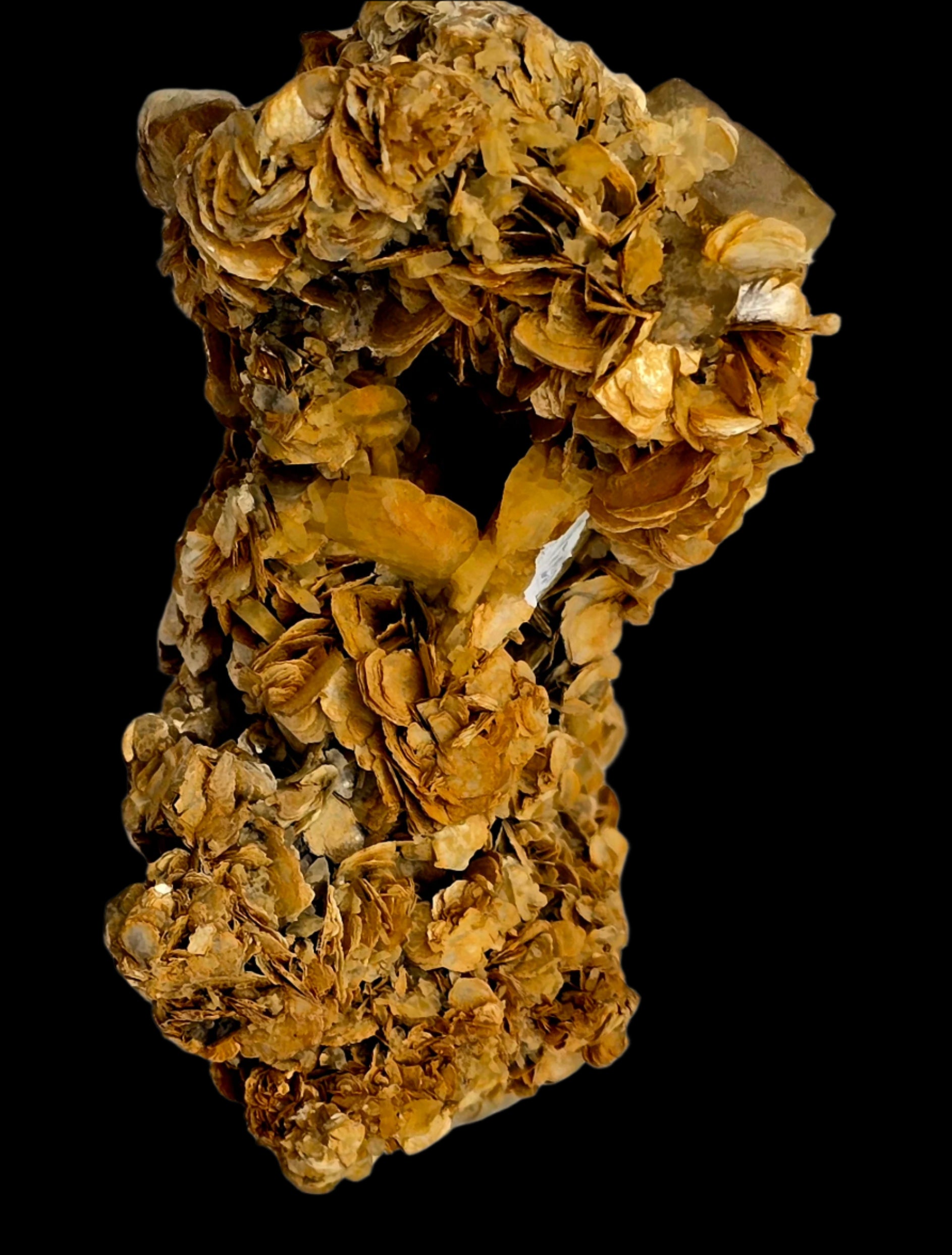 SCHEELITE (3 crystals), MUSCVOVITE with STANNITE  (small cabinet)