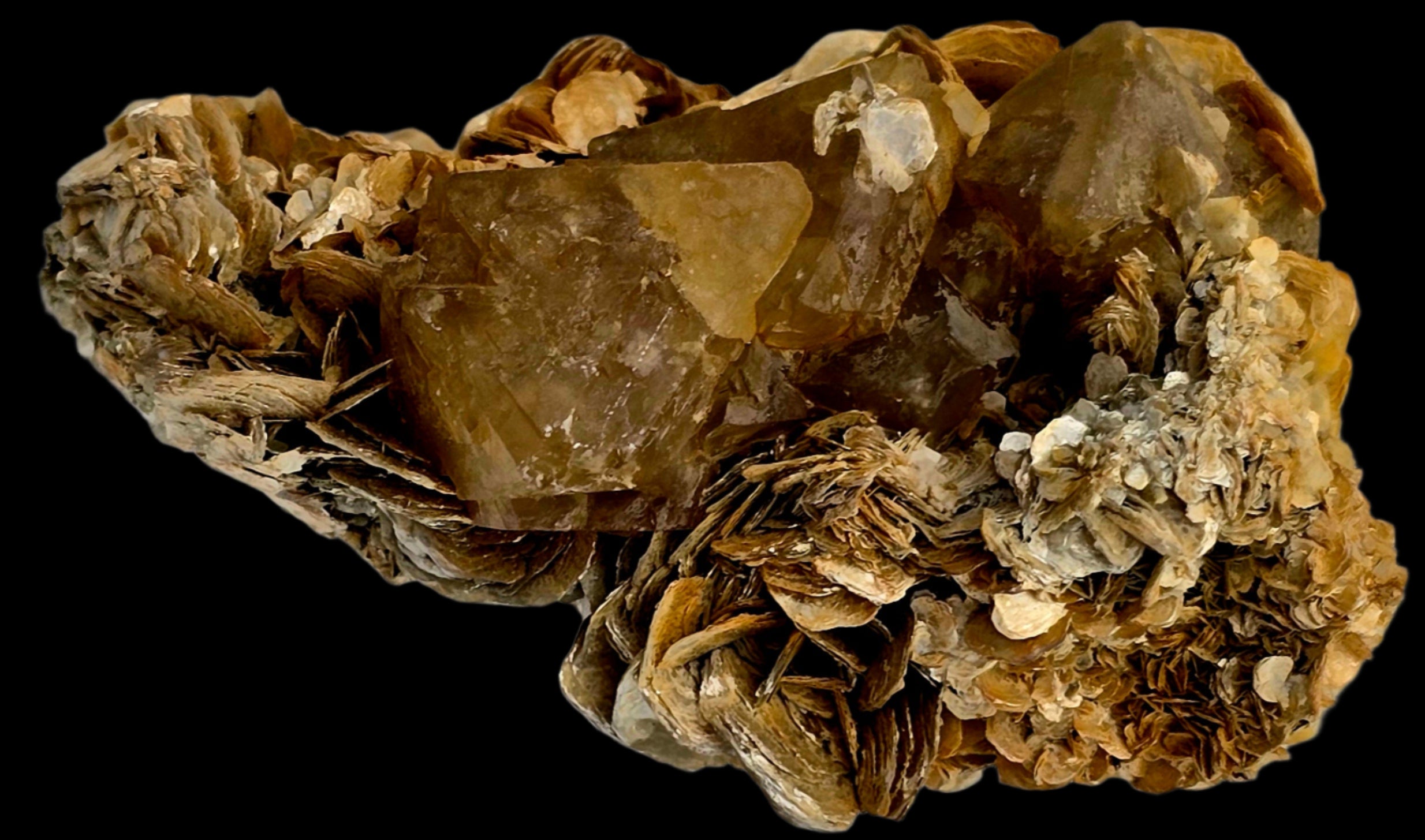 SCHEELITE (3 crystals), MUSCVOVITE with STANNITE  (small cabinet)