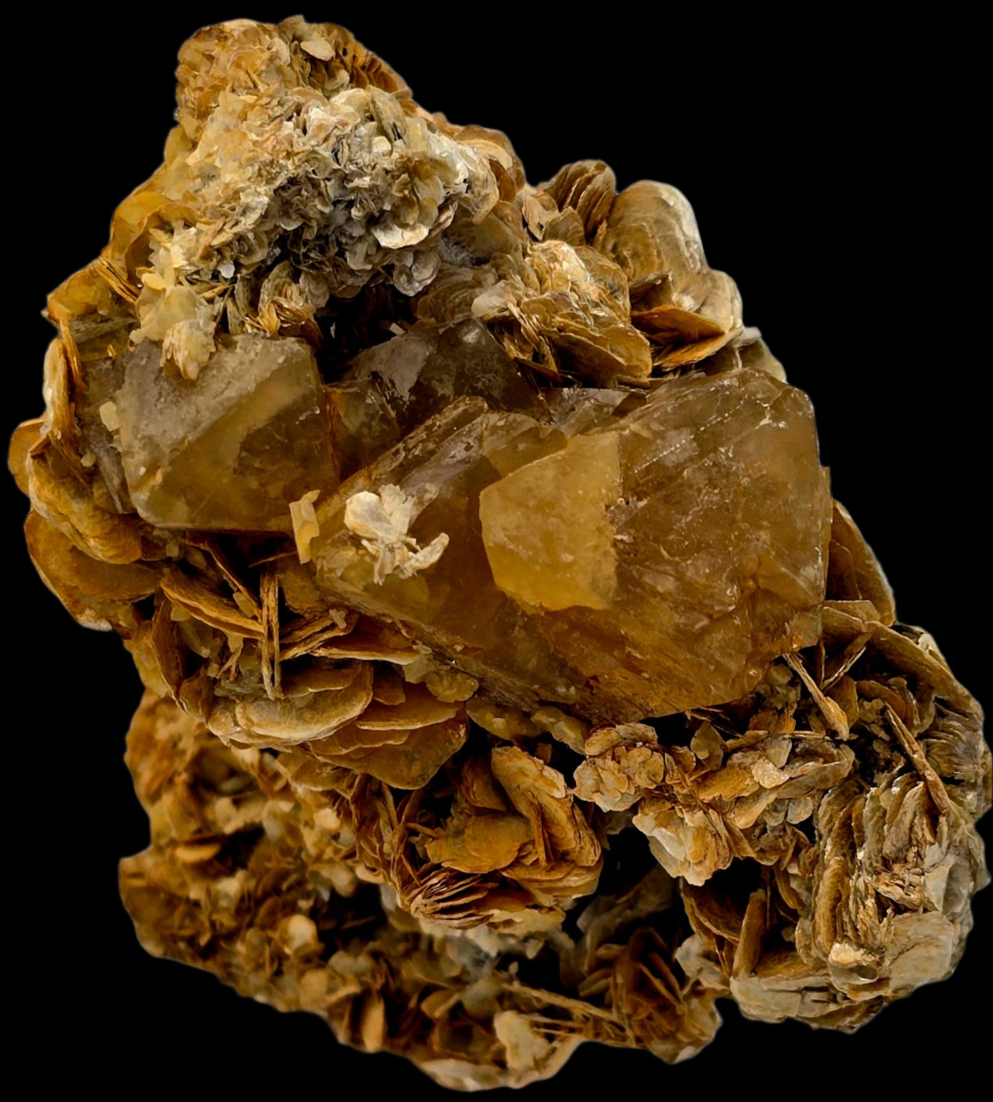 SCHEELITE, MUSCVOVITE with STANNITE