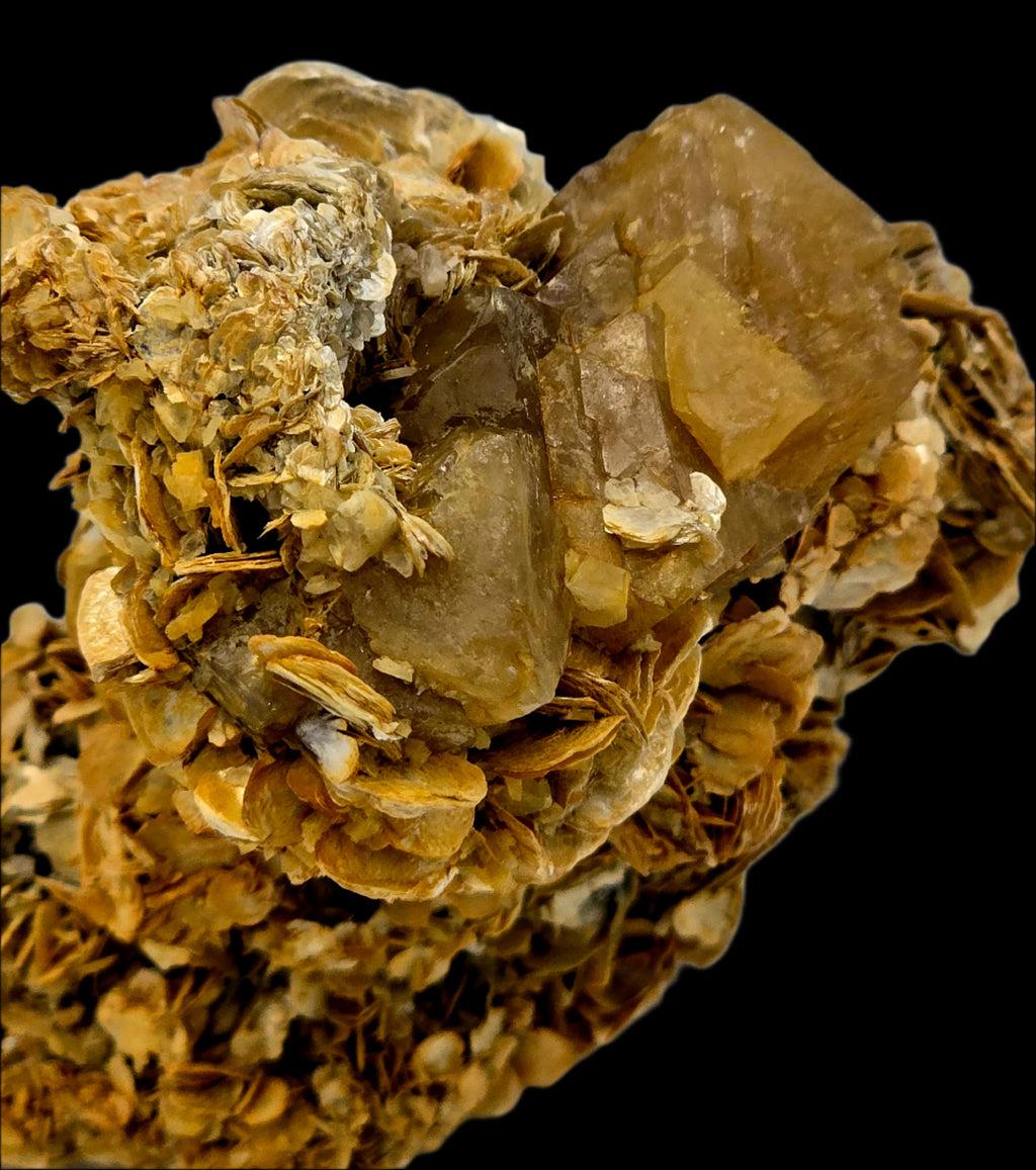 SCHEELITE (3 crystals), MUSCVOVITE with STANNITE  (small cabinet)