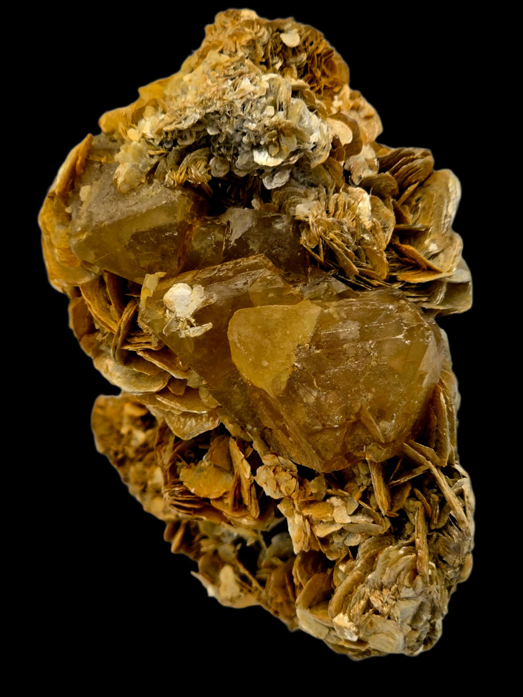 SCHEELITE (3 crystals), MUSCVOVITE with STANNITE  (small cabinet)