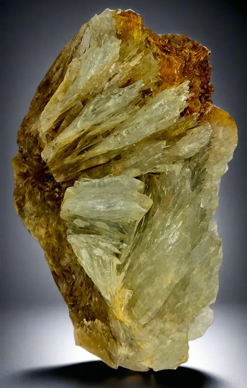 Calcite crystal cluster from Elmwood Mine, Tennessee, showcasing translucent yellow blades on matrix
