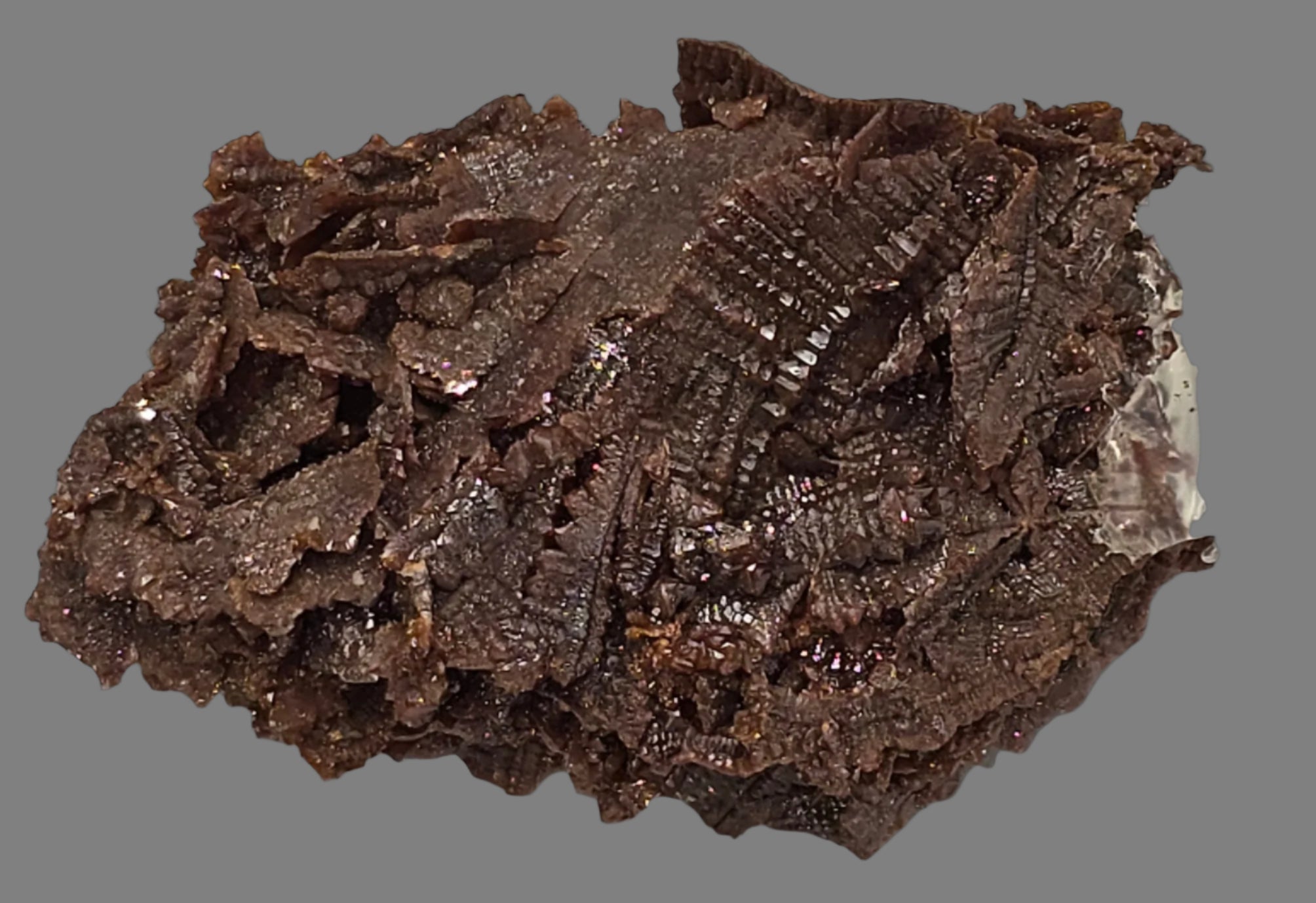 DESCLOIZITE (cabinet)