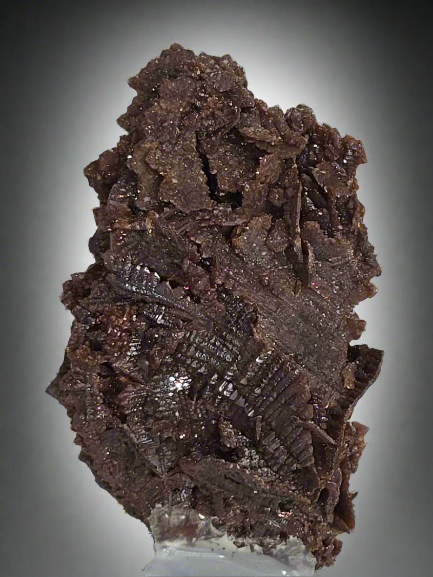 DESCLOIZITE (cabinet)