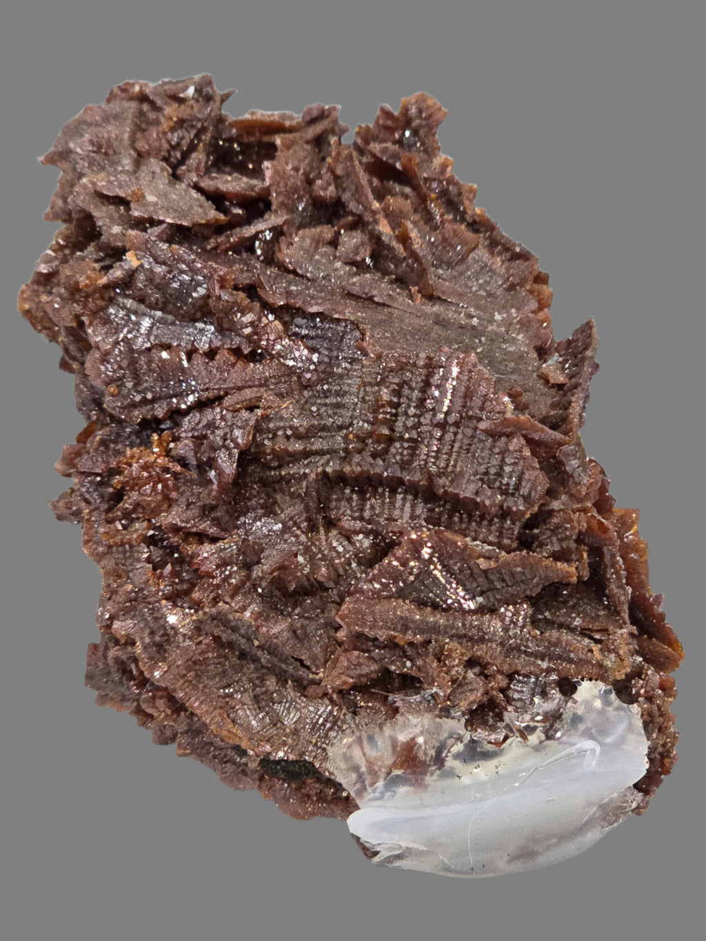 DESCLOIZITE (cabinet)