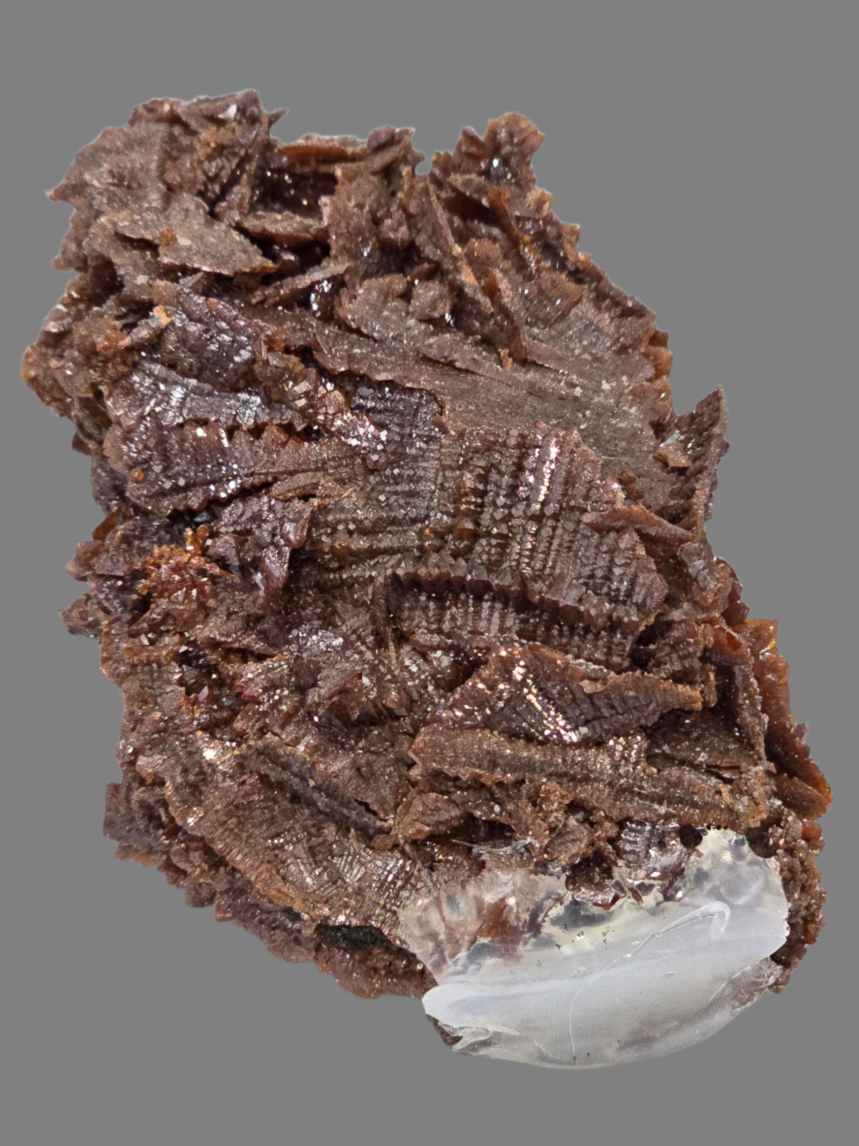DESCLOIZITE (cabinet)