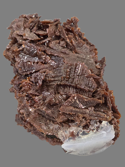 DESCLOIZITE