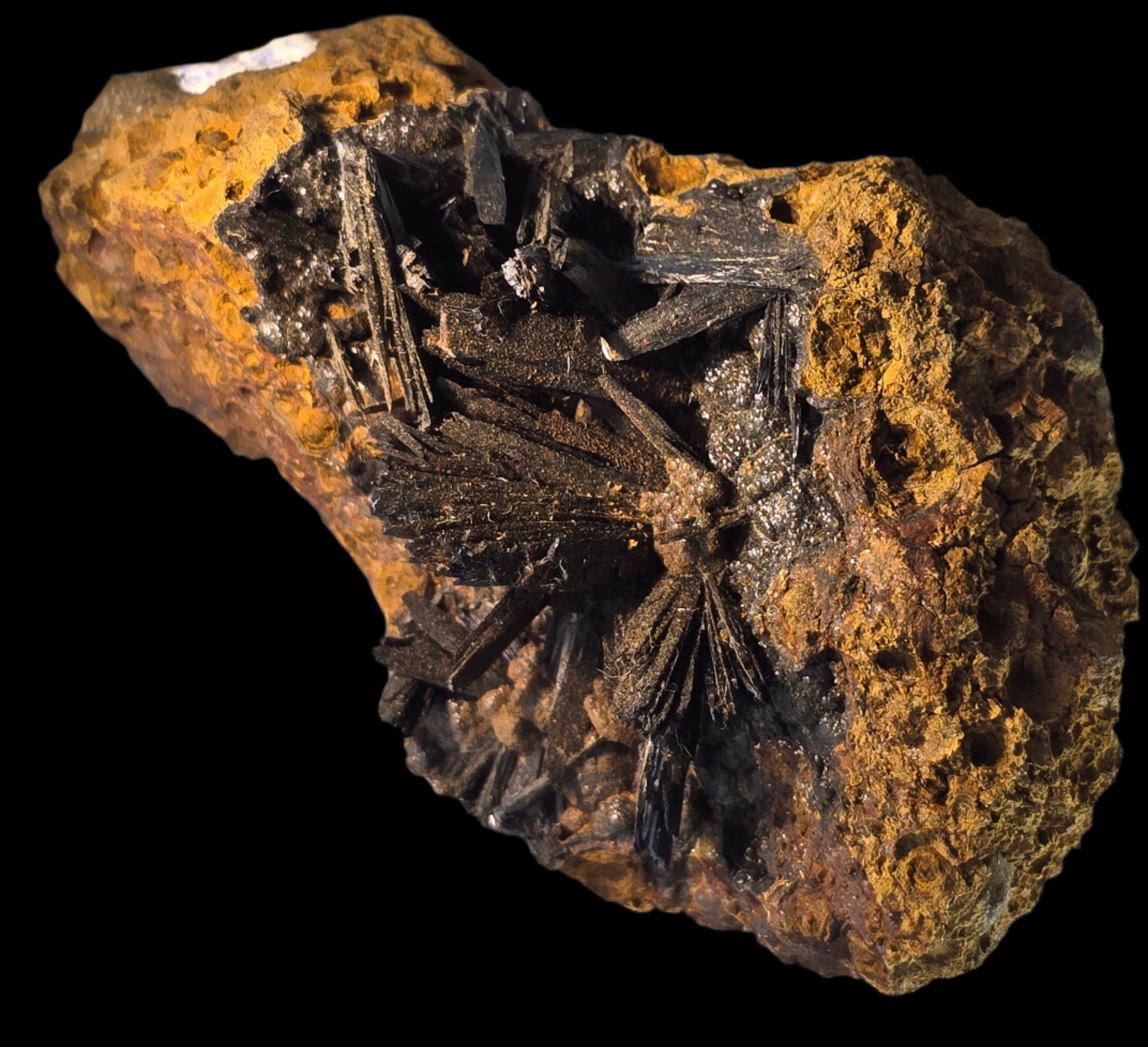 VIVIANITE (cabinet)