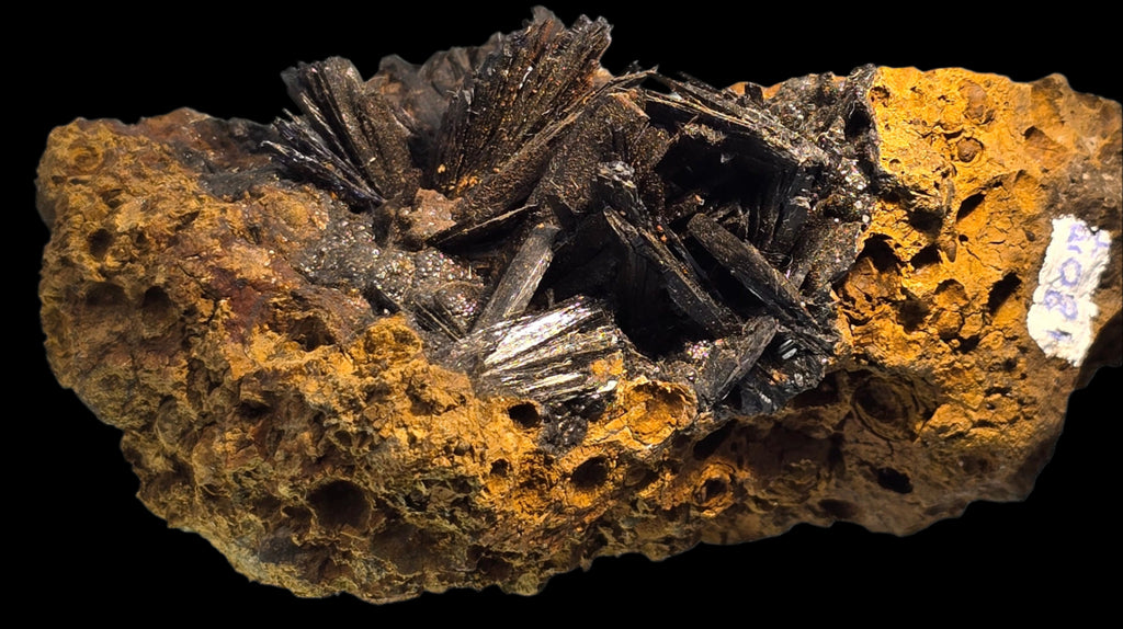 VIVIANITE (cabinet)