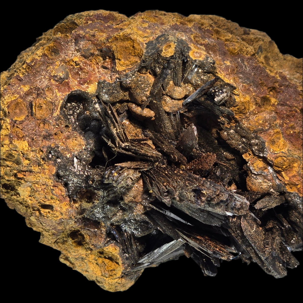 VIVIANITE (cabinet)