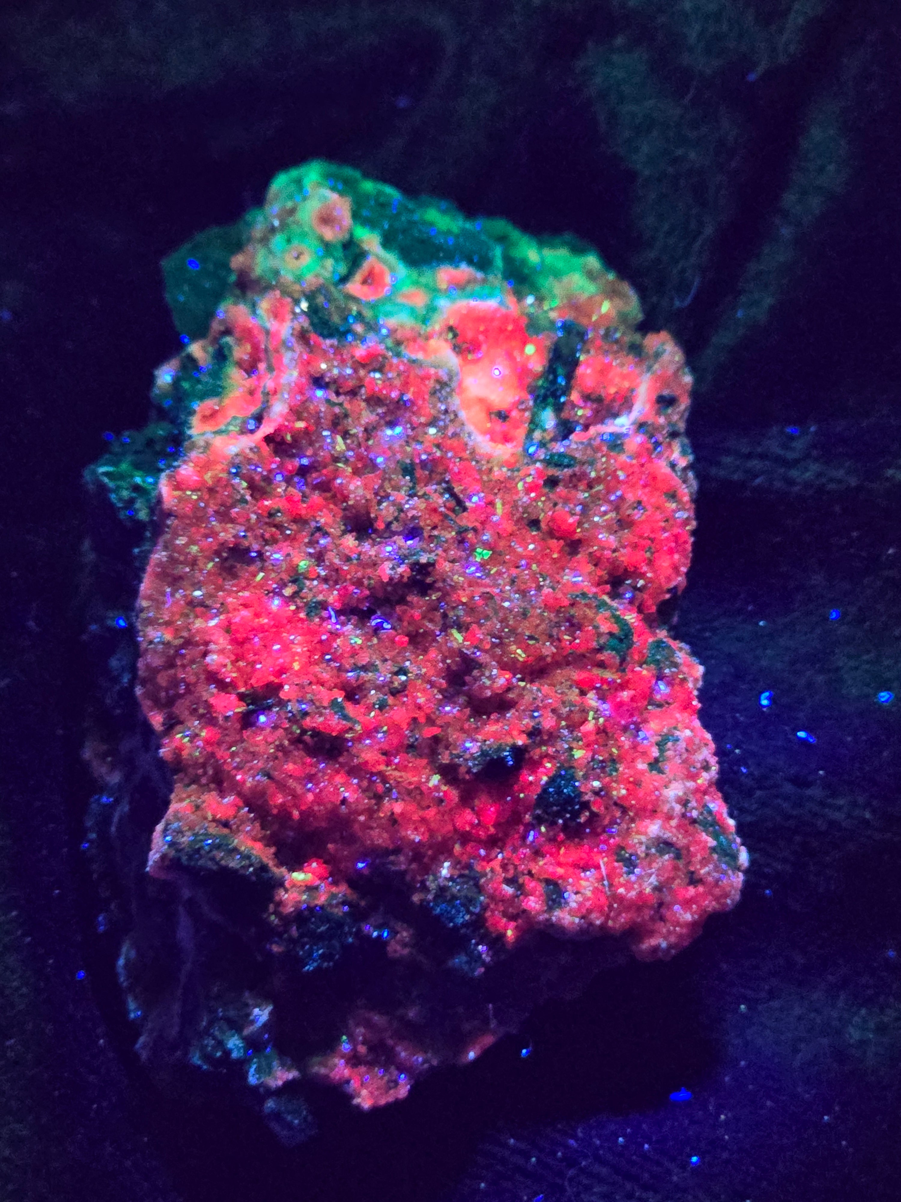 SMITHSONITE (COBALTOAN) with UNKNOWN MINERAL (small cabinet)