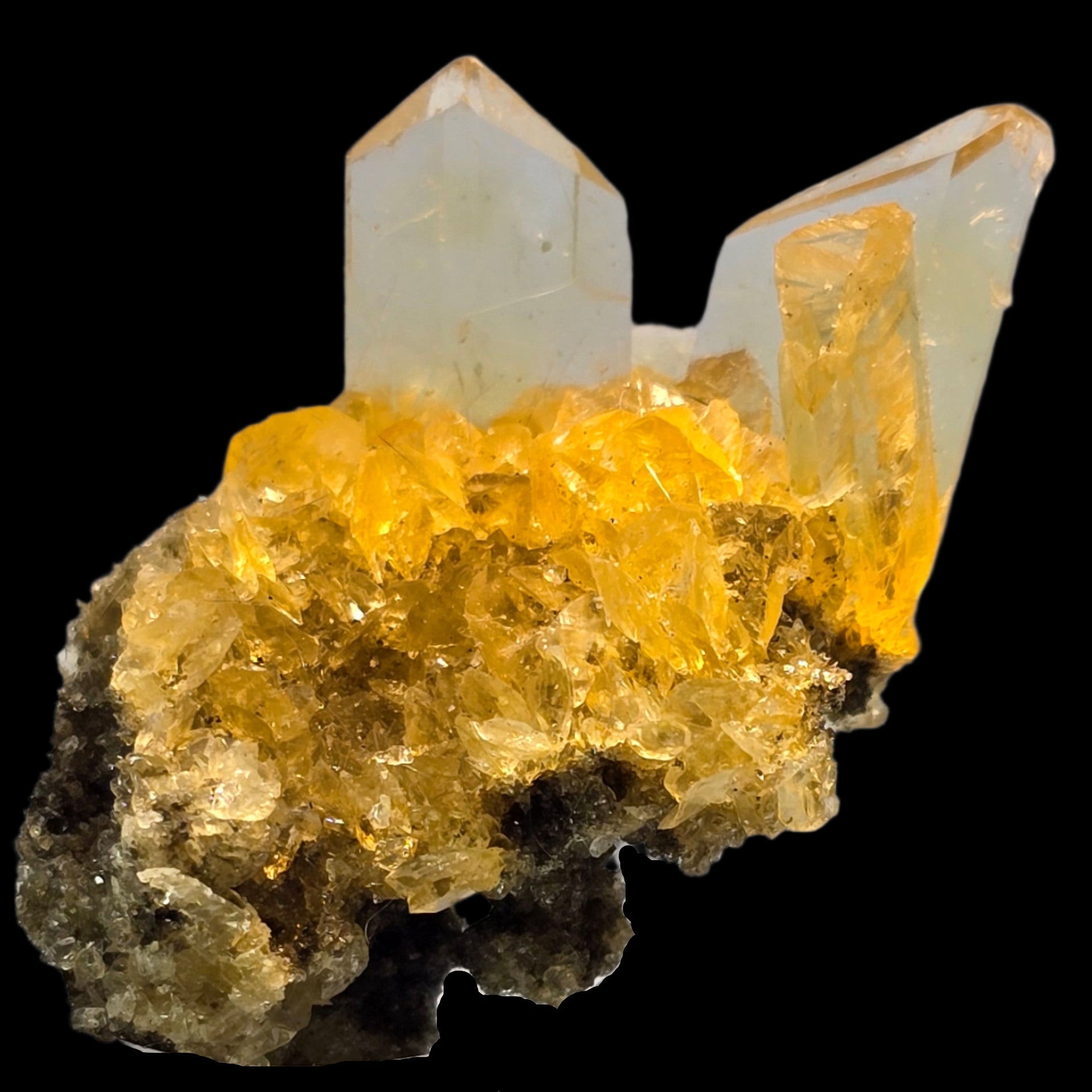 SELENITE (small cabinet) variety of gypsum