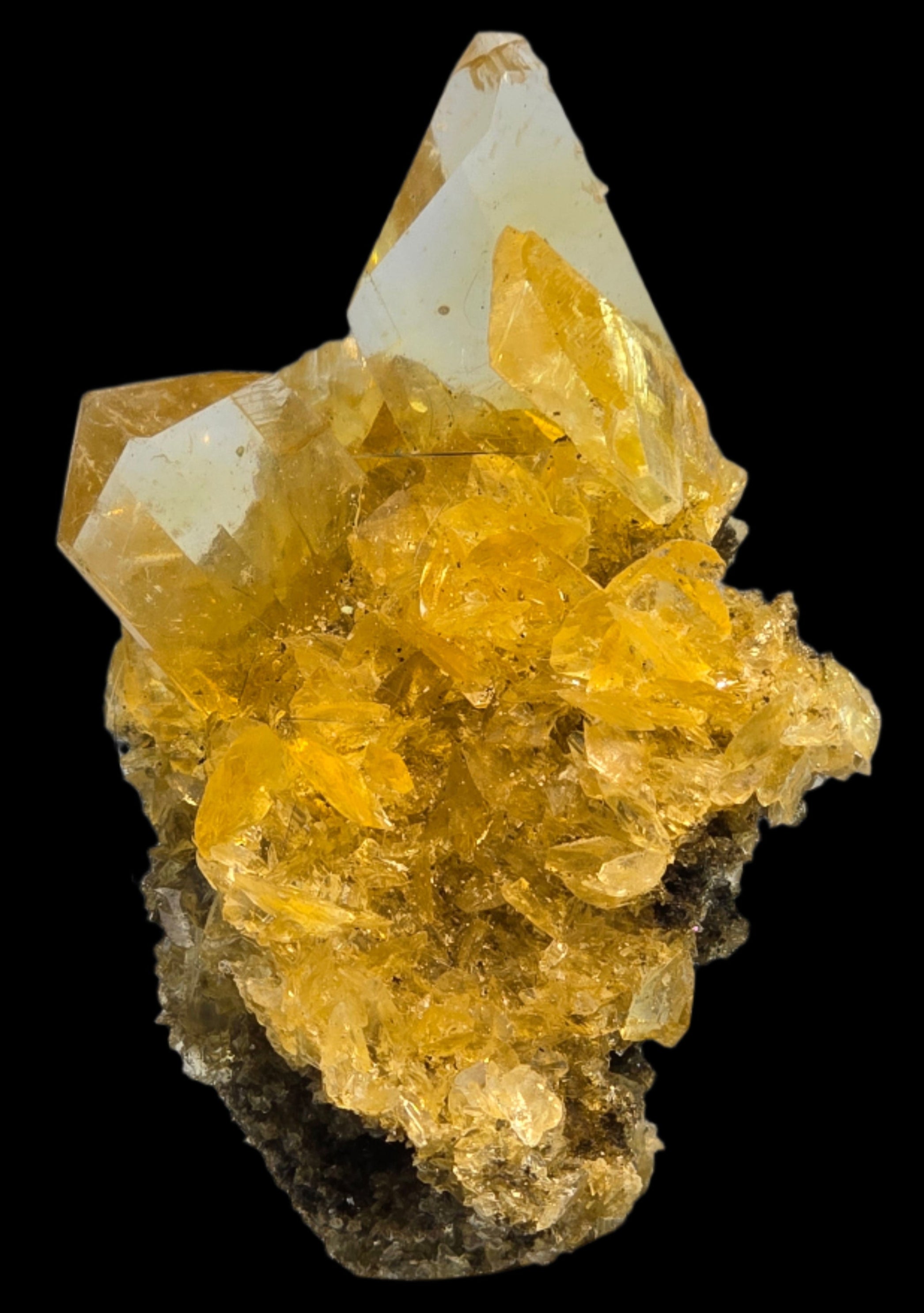 SELENITE (small cabinet) variety of gypsum