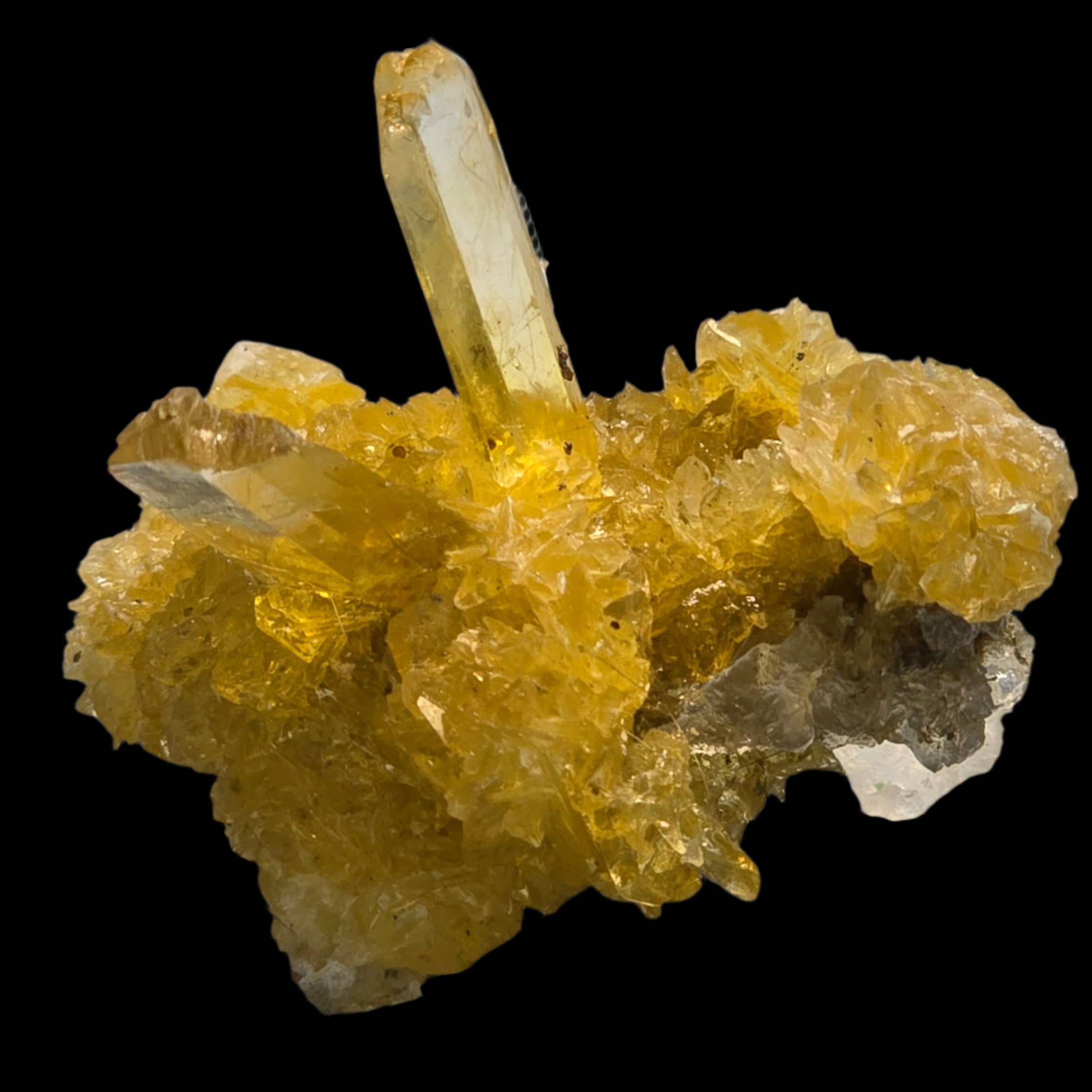 SELENITE, variety of gypsum, with HALITE (miniature)