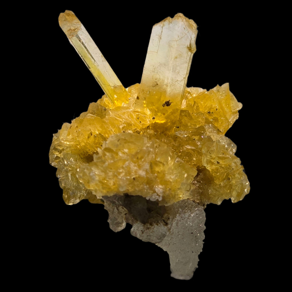 SELENITE, variety of gypsum, with HALITE (miniature)
