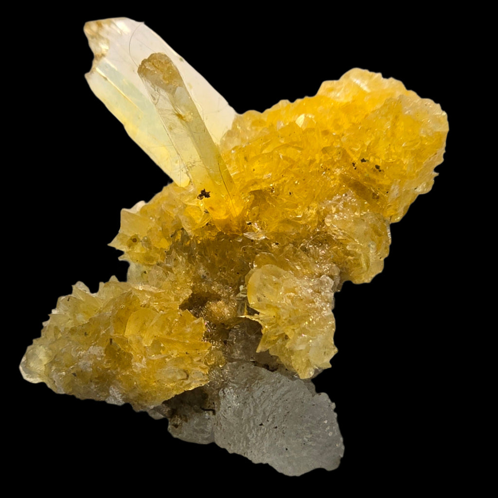 SELENITE, variety of gypsum, with HALITE (miniature)