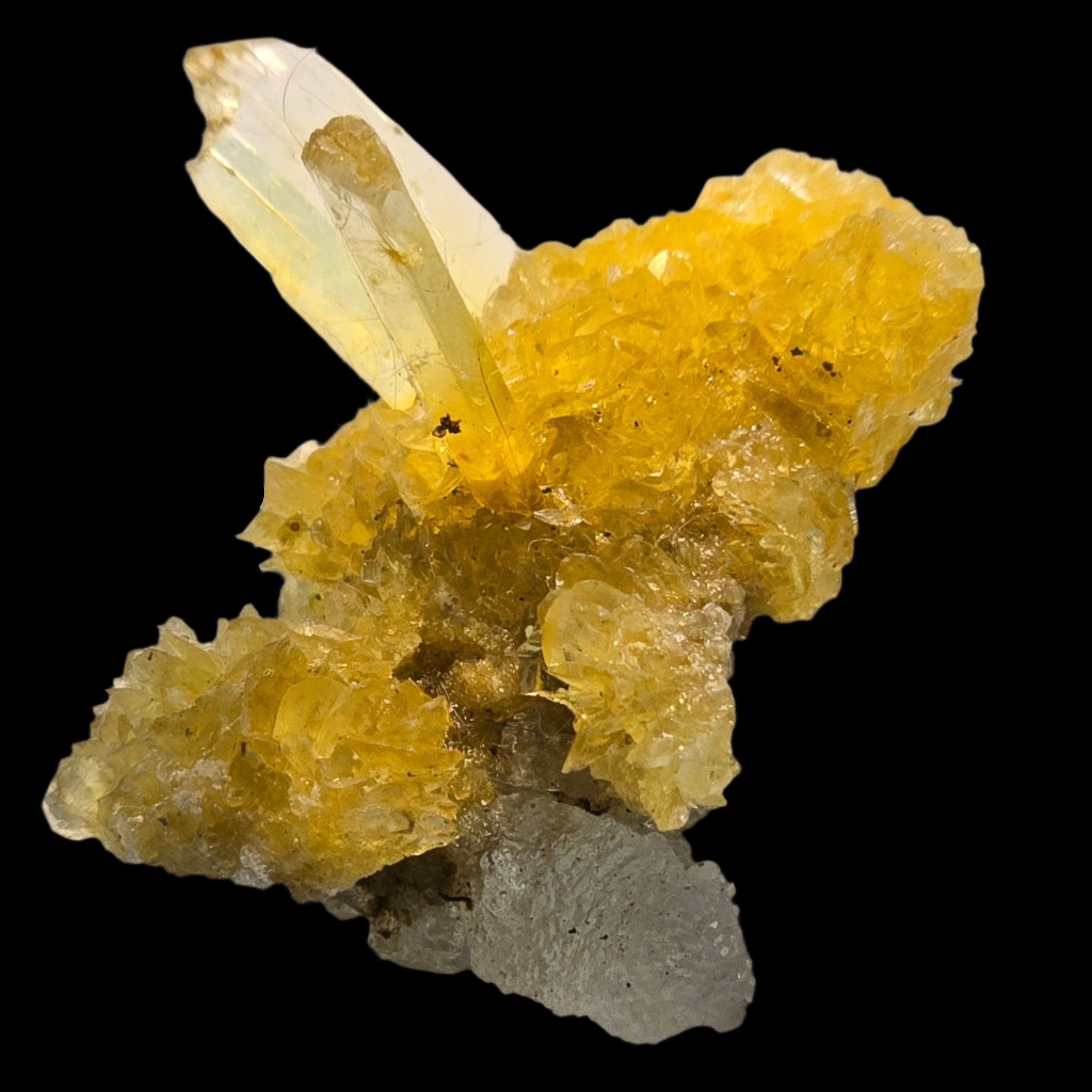 SELENITE, variety of gypsum, with HALITE (miniature)