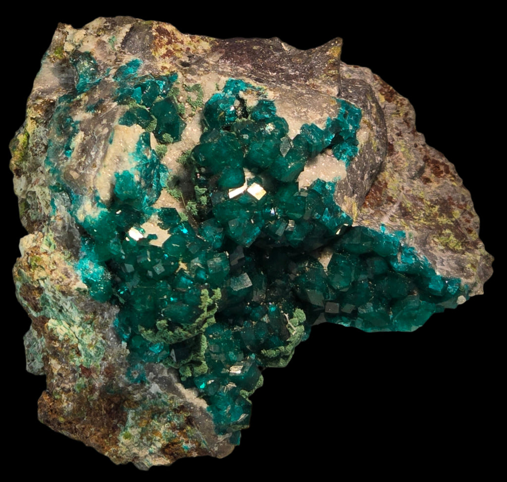 DIOPTASE with CHRYSOCOLLA (small cabinet)