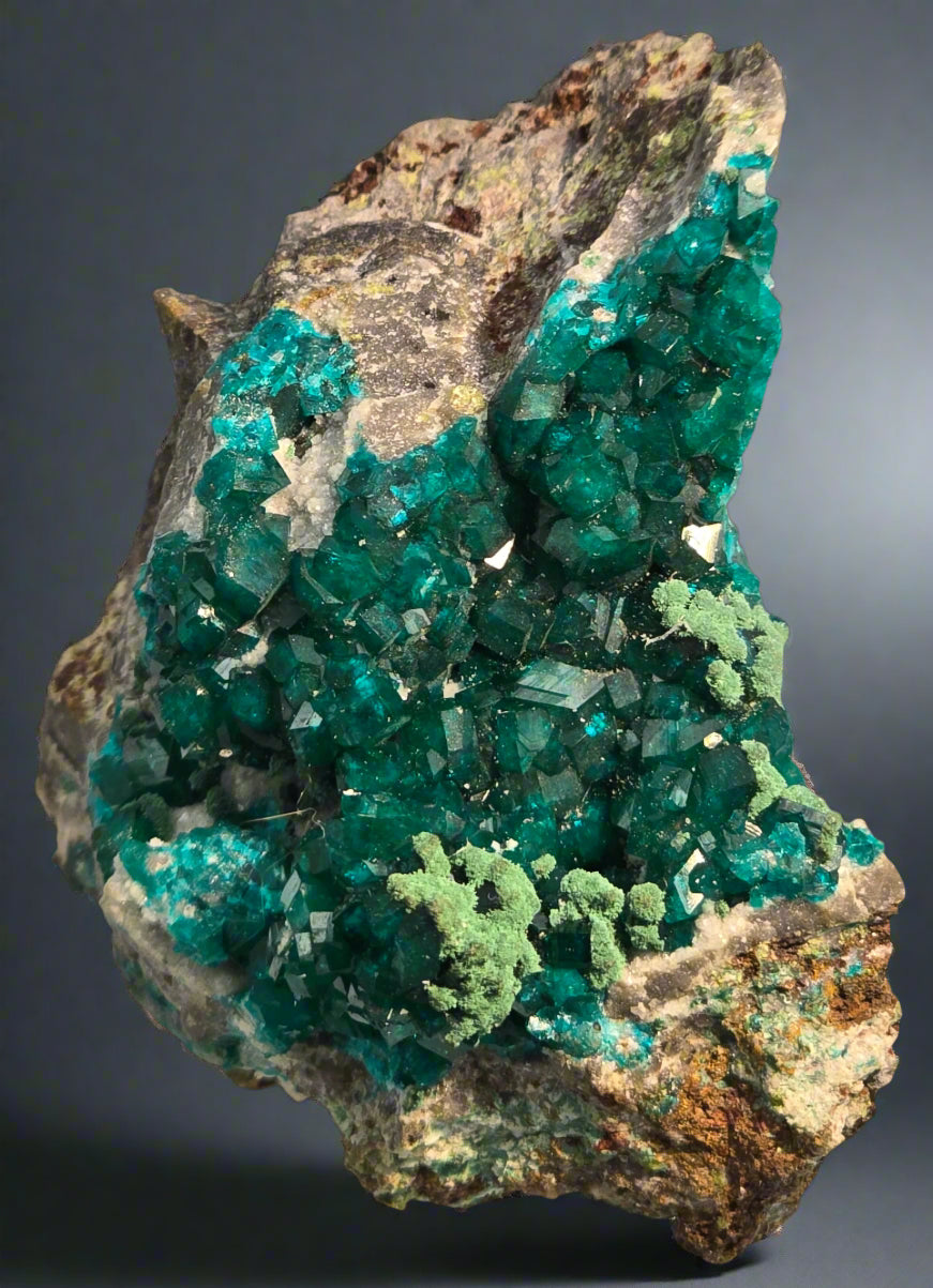 DIOPTASE with CHRYSOCOLLA (small cabinet)