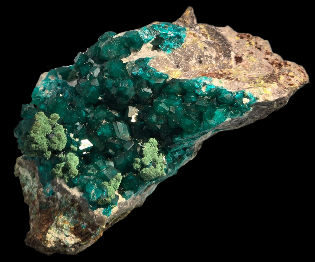 DIOPTASE with CHRYSOCOLLA (small cabinet)