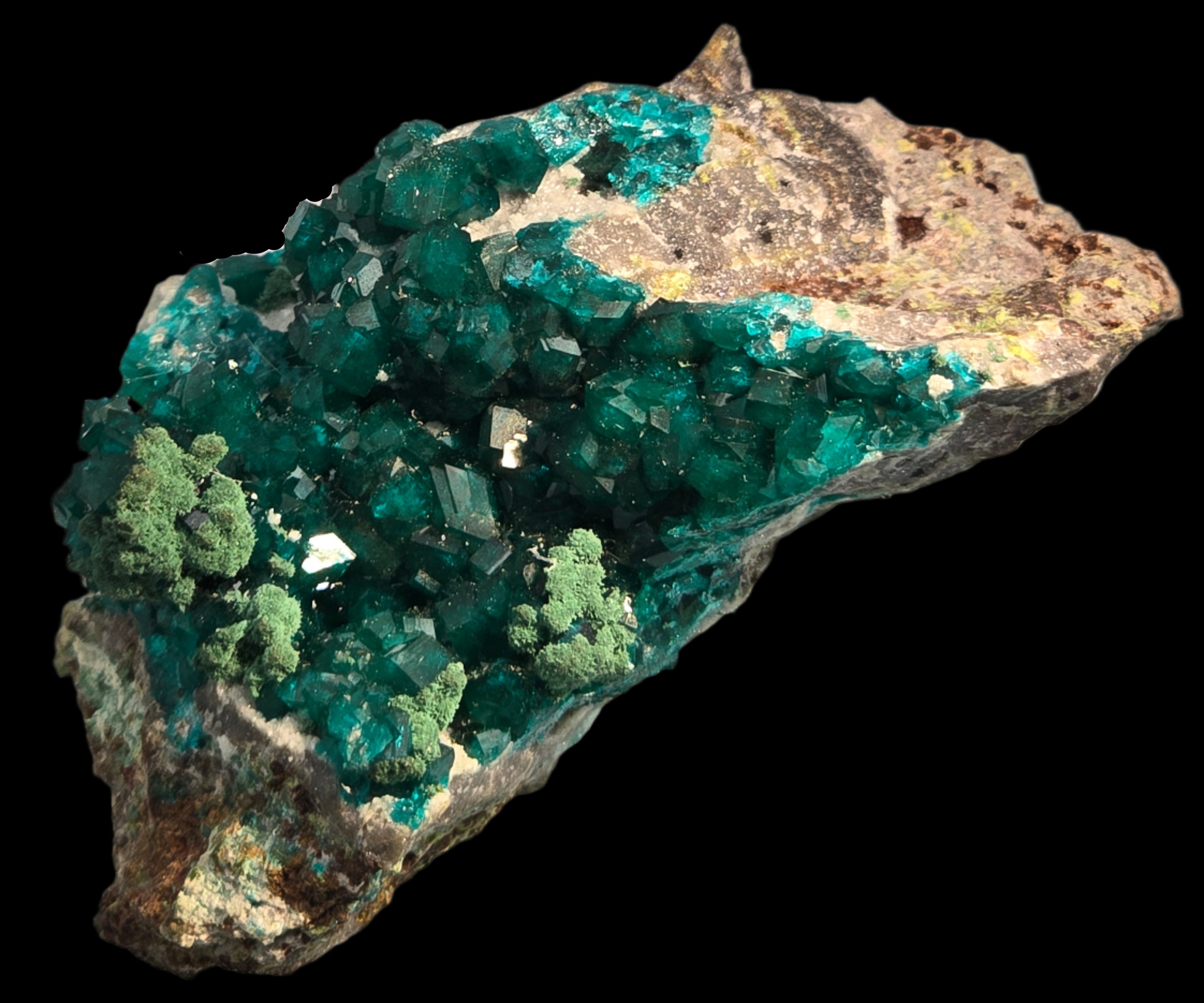 DIOPTASE with CHRYSOCOLLA (small cabinet)