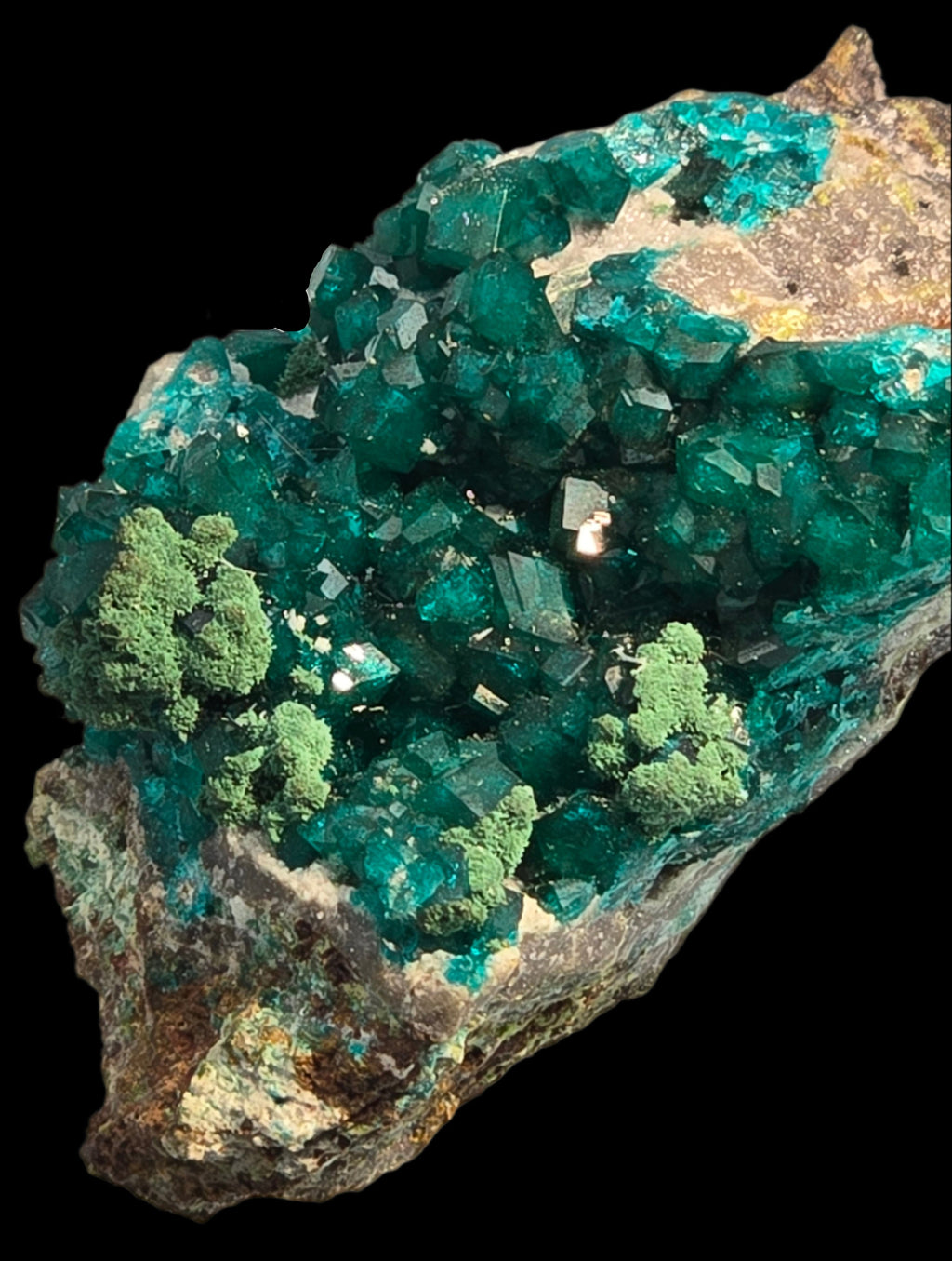 DIOPTASE with CHRYSOCOLLA (small cabinet)