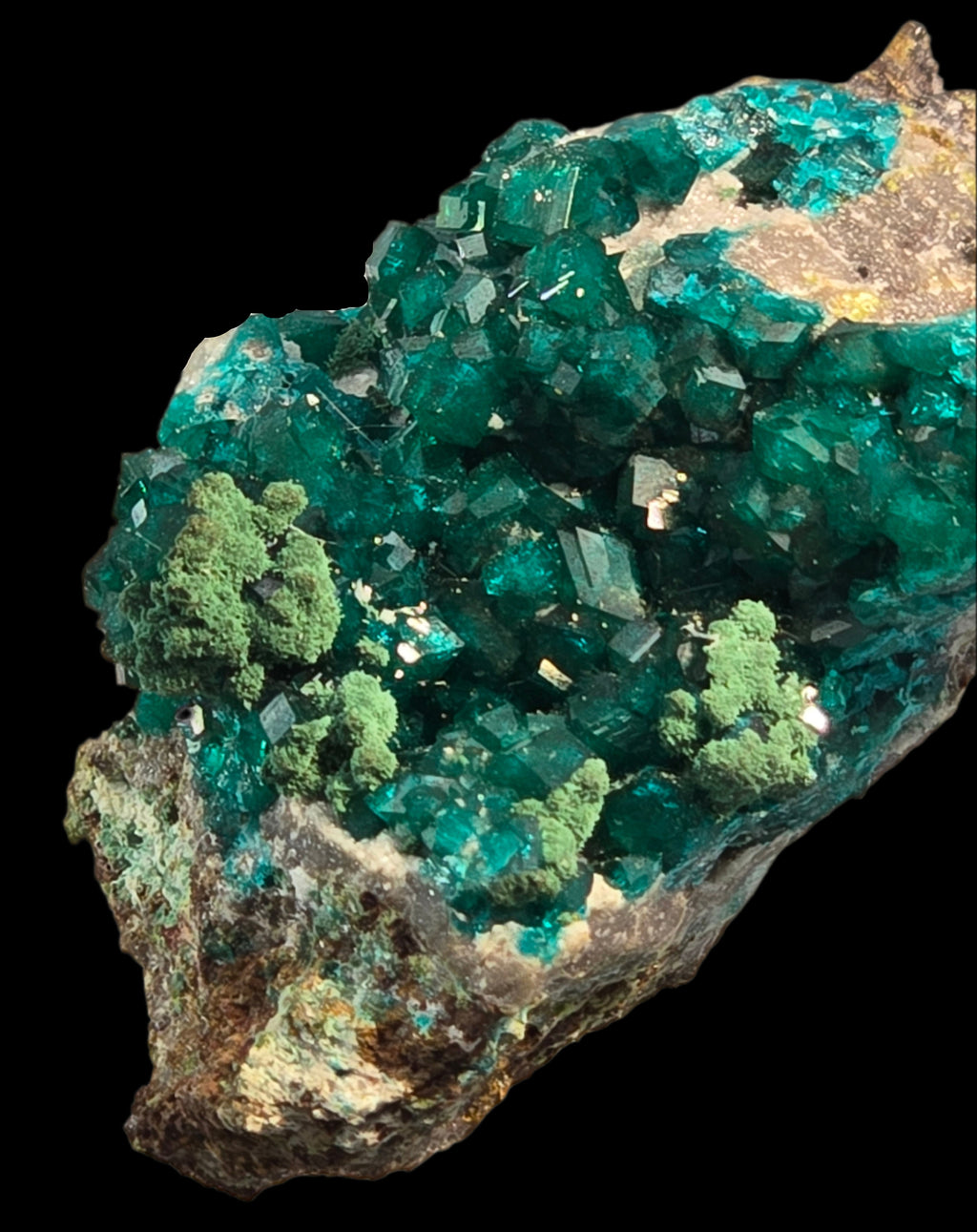 DIOPTASE with CHRYSOCOLLA (small cabinet)