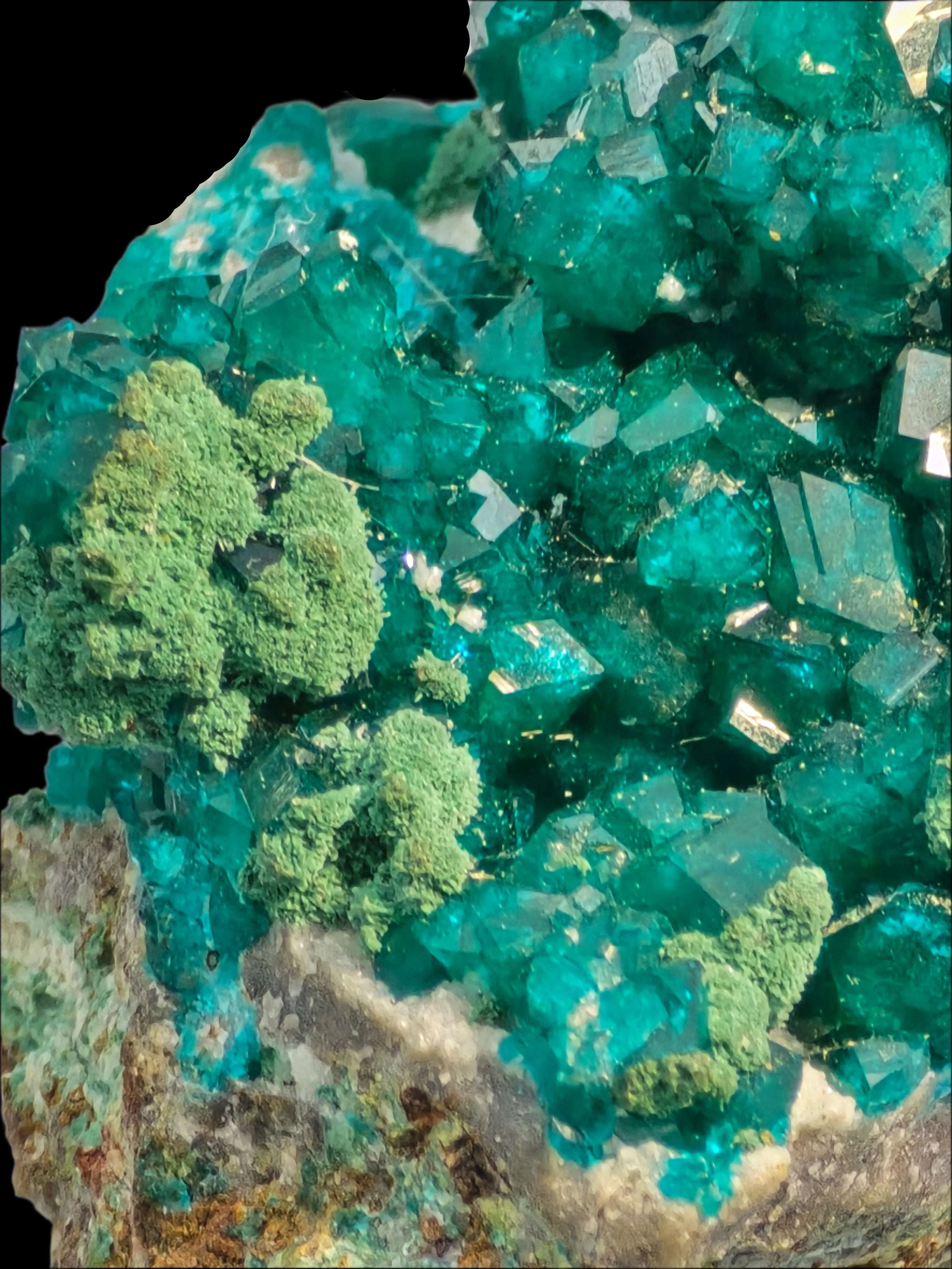 DIOPTASE with CHRYSOCOLLA (small cabinet)