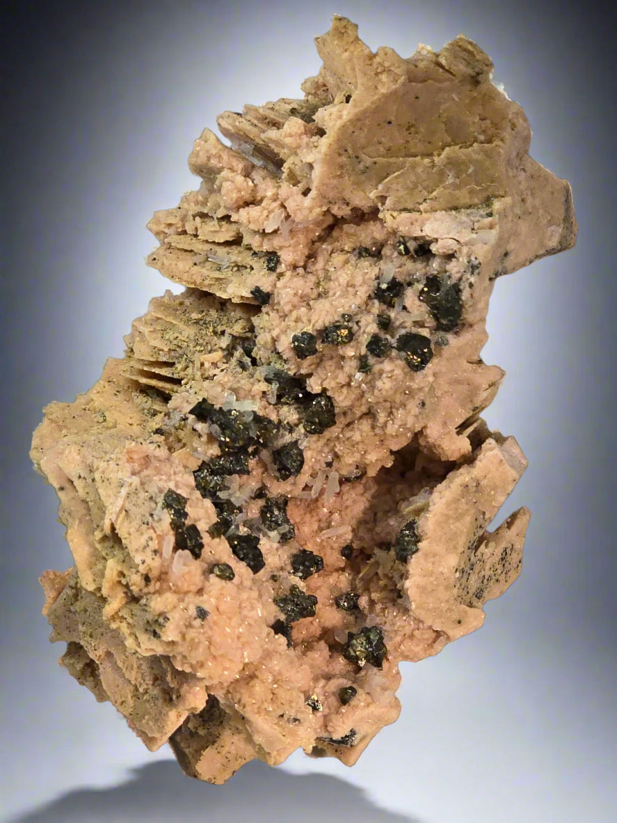 RHODOCHROSITE, CHALCOPYRITE, QUARTZ (cabinet)