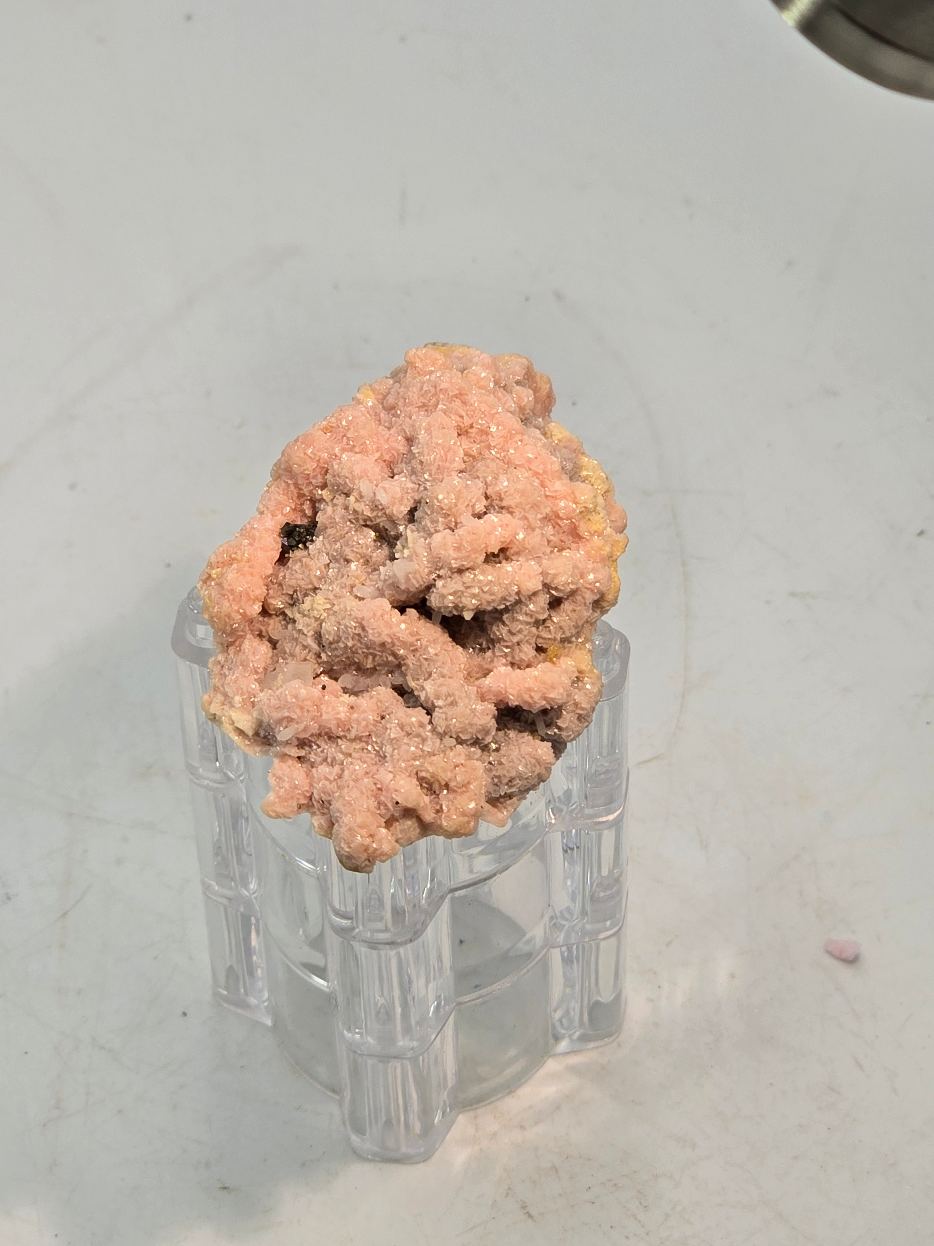 RHODOCHROSITE, CHALCOPYRITE, QUARTZ (small cabinet)