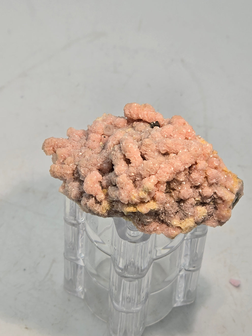 RHODOCHROSITE, CHALCOPYRITE, QUARTZ (small cabinet)