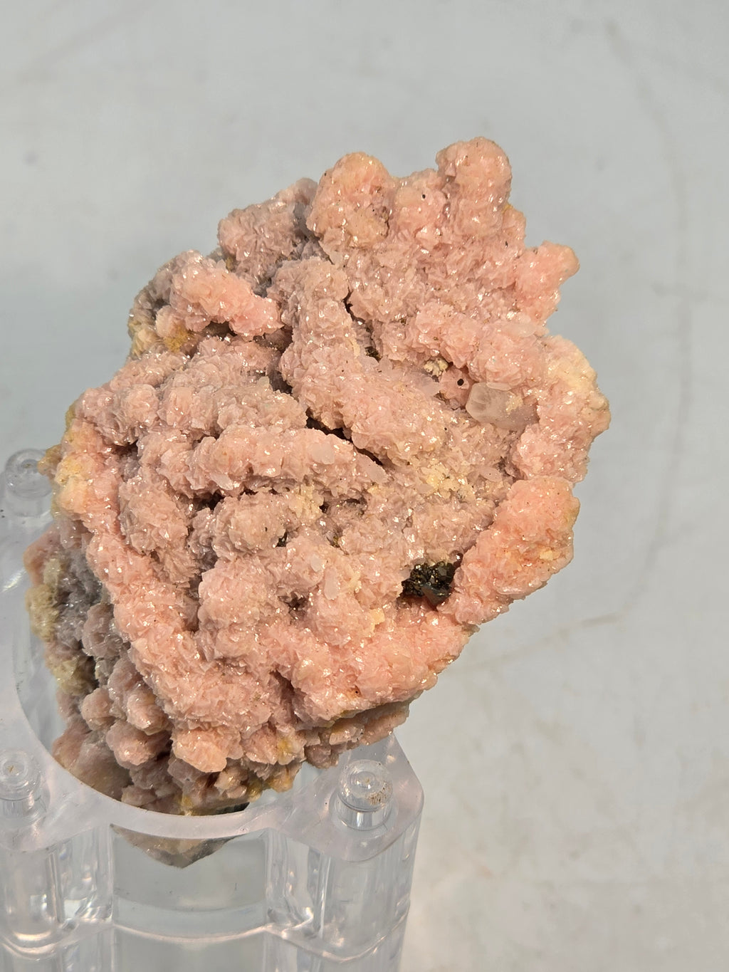 RHODOCHROSITE, CHALCOPYRITE, QUARTZ (small cabinet)