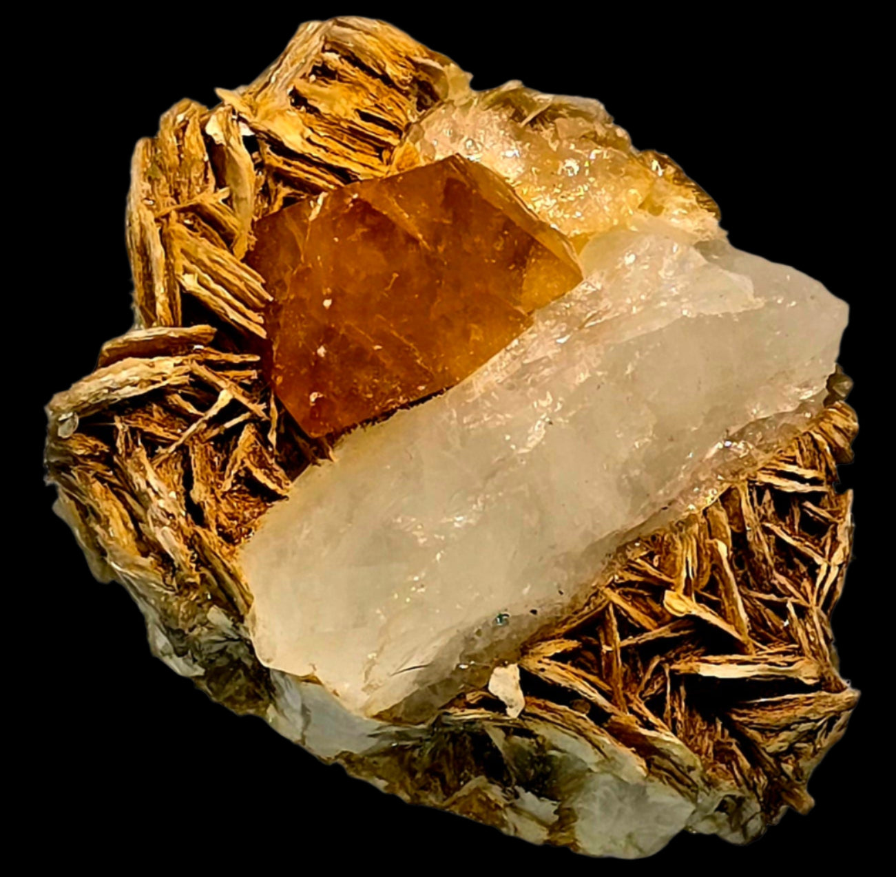SCHEELITE (TWIN) with MUSCOVITE and QUARTZ (small cabinet)