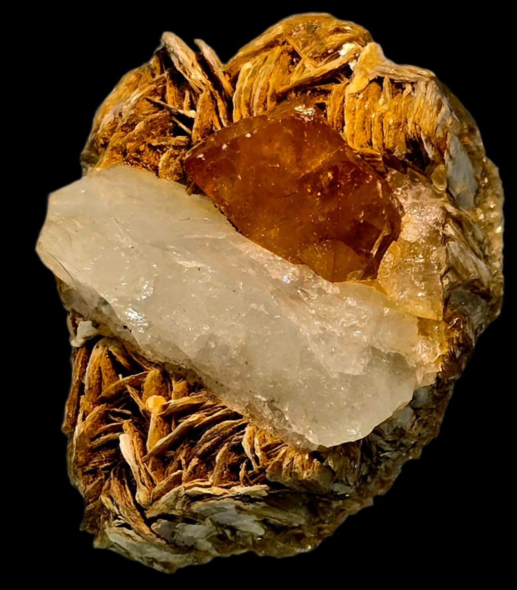 SCHEELITE (TWIN) with MUSCOVITE and QUARTZ (small cabinet)