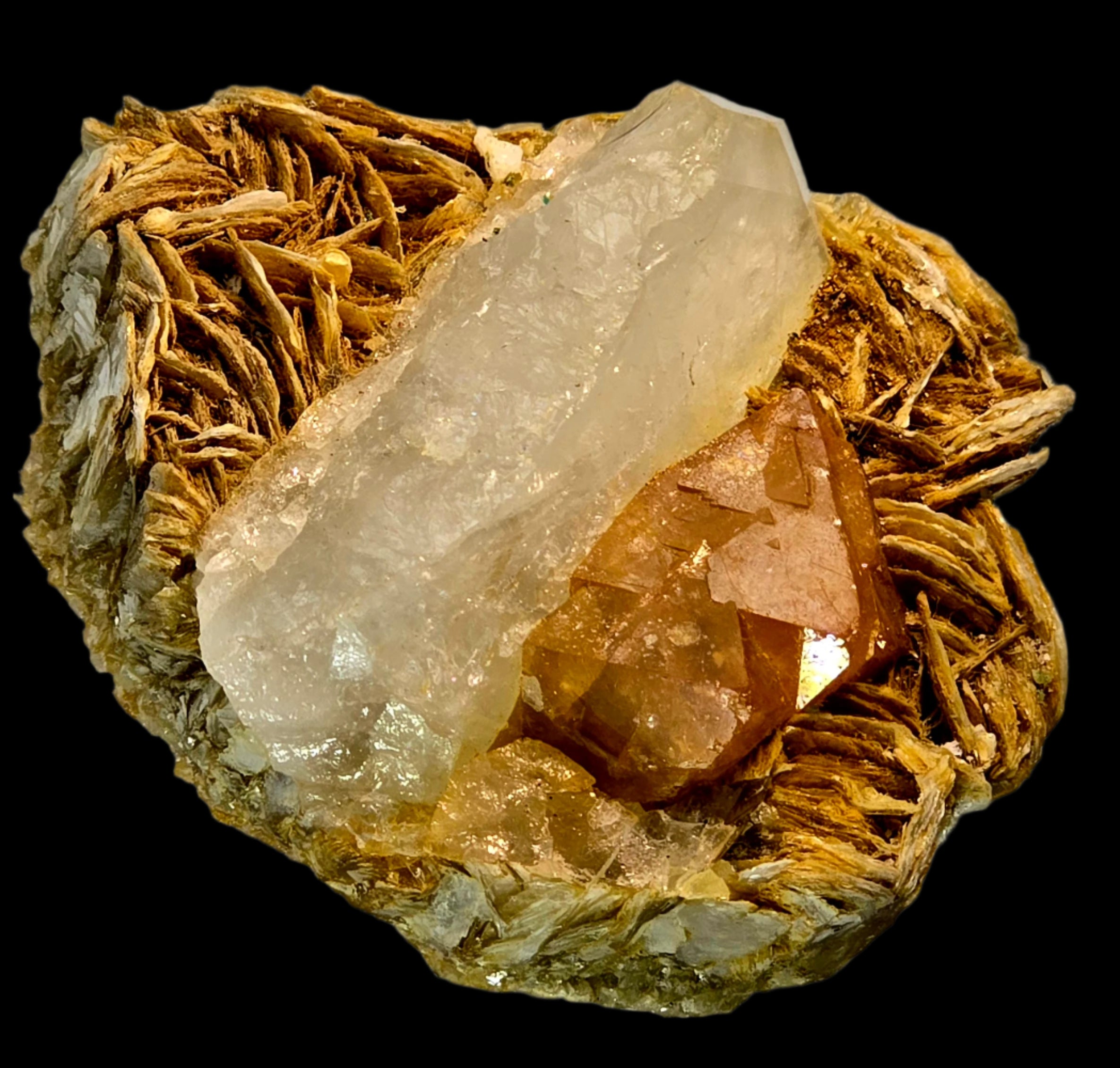 SCHEELITE (TWIN) with MUSCOVITE and QUARTZ (small cabinet)