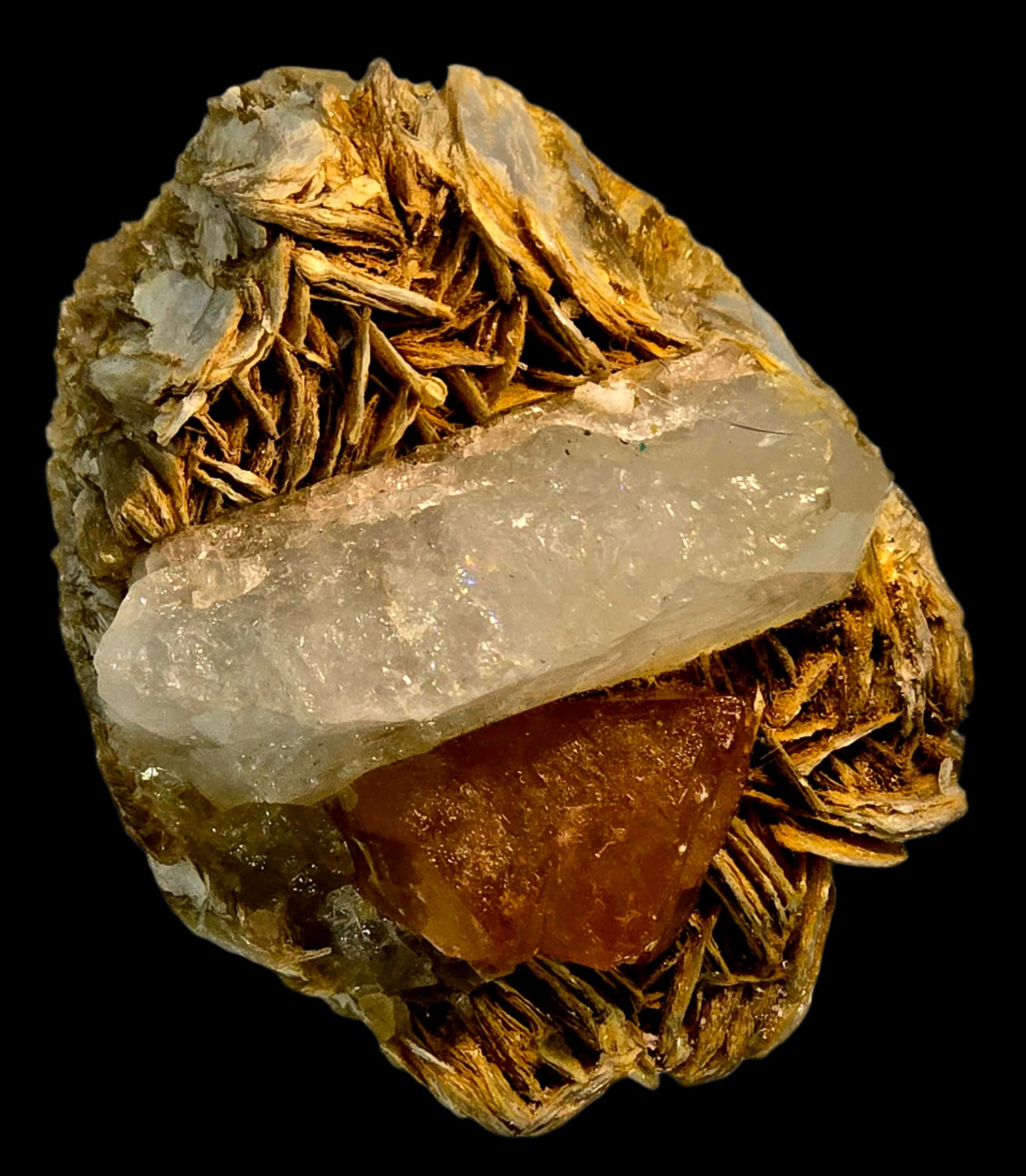 SCHEELITE (TWIN) with MUSCOVITE and QUARTZ (small cabinet)