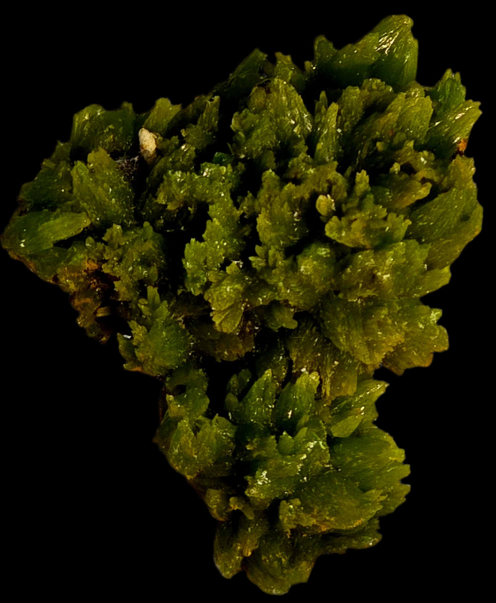 PYROMORPHITE (miniature)
