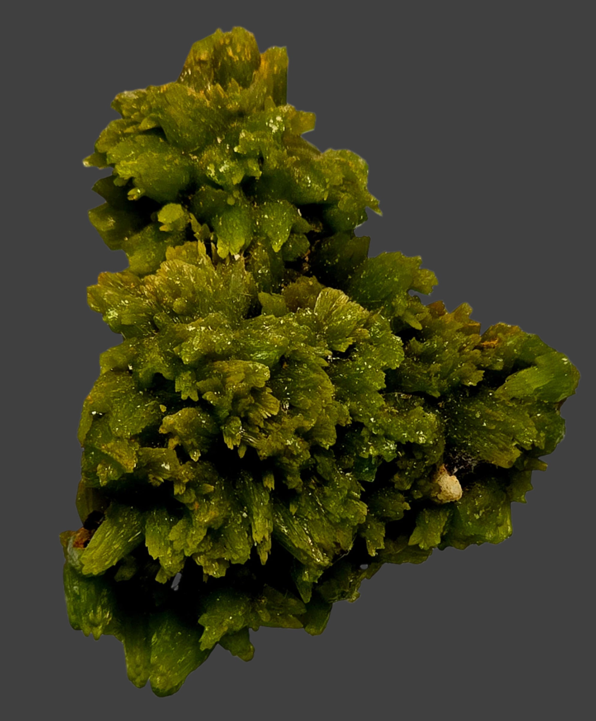PYROMORPHITE (miniature)