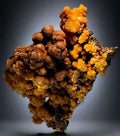 Wulfenite mineral specimen from Arizona, vibrant orange crystals on dark matrix, collectible geological specimen
