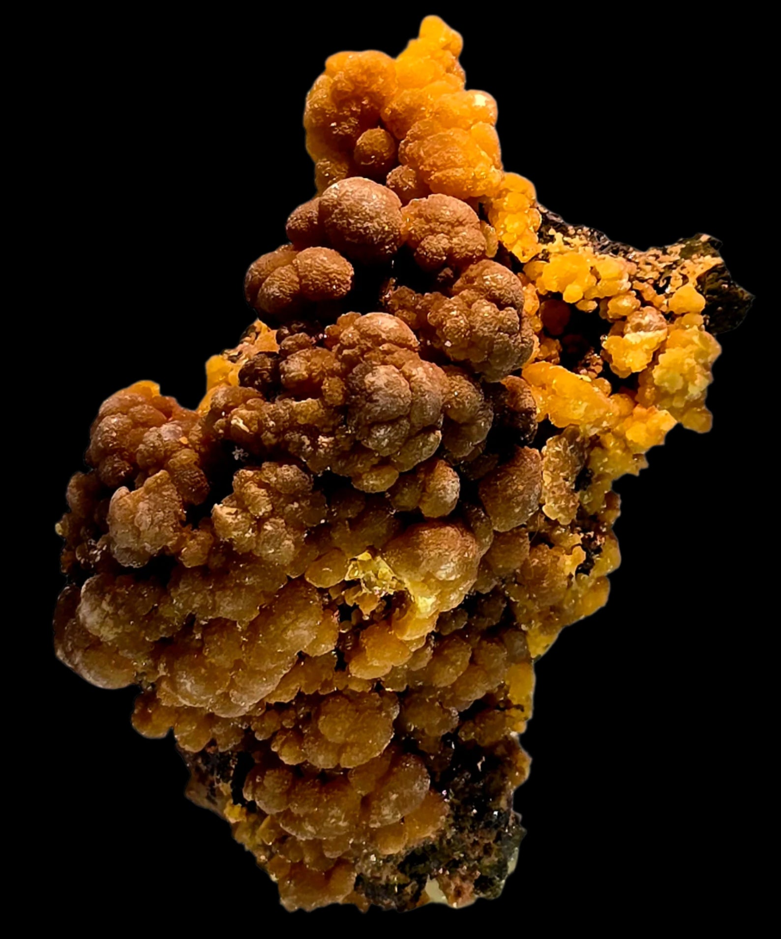 MIMETITE on LIMONITE (small cabinet)