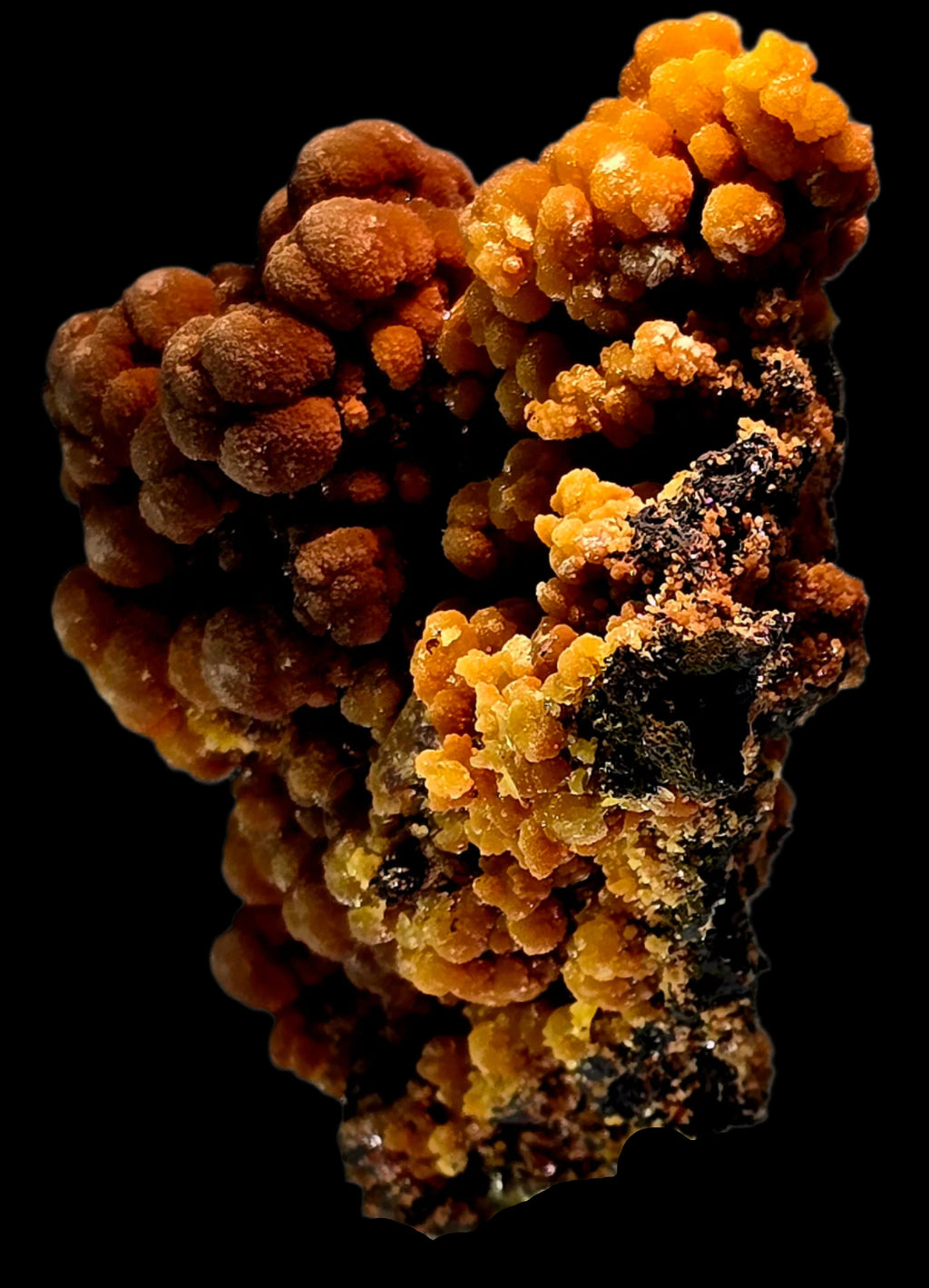 MIMETITE on LIMONITE (small cabinet)