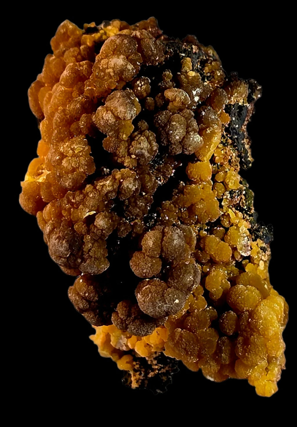 MIMETITE on LIMONITE (small cabinet)