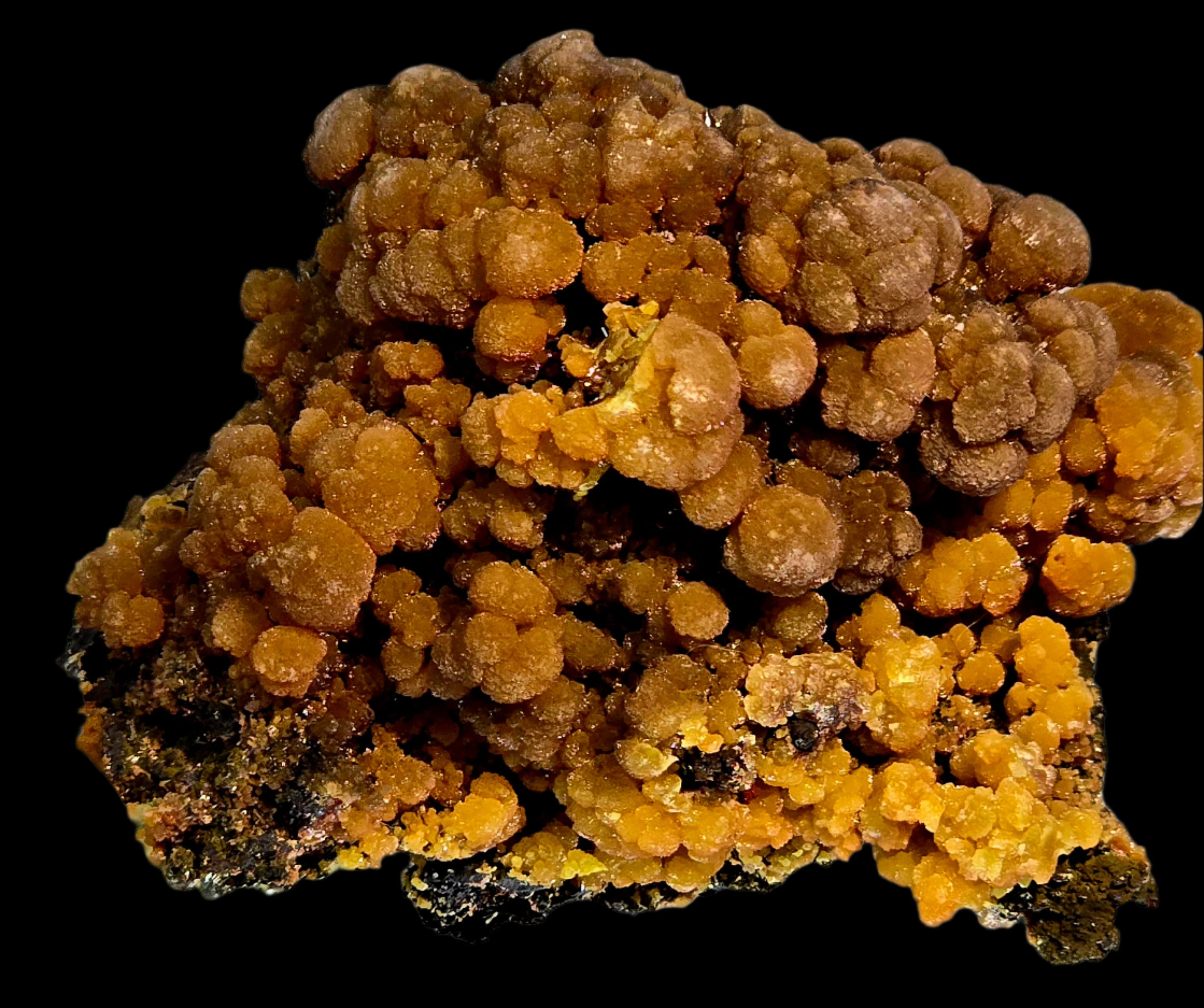 MIMETITE on LIMONITE (small cabinet)