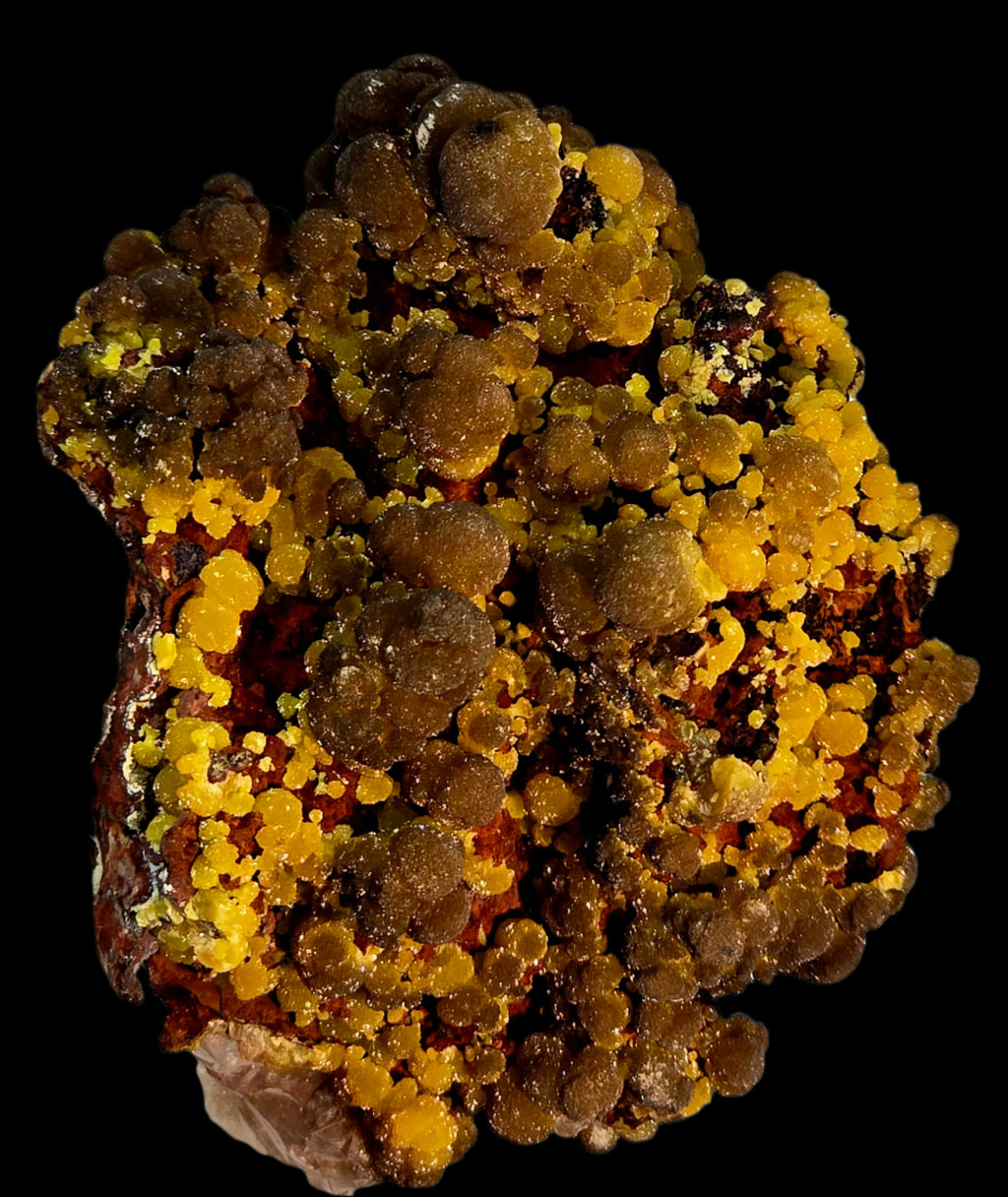 MIMETITE on LIMONITE, RHODOCHROSITE (cabinet)