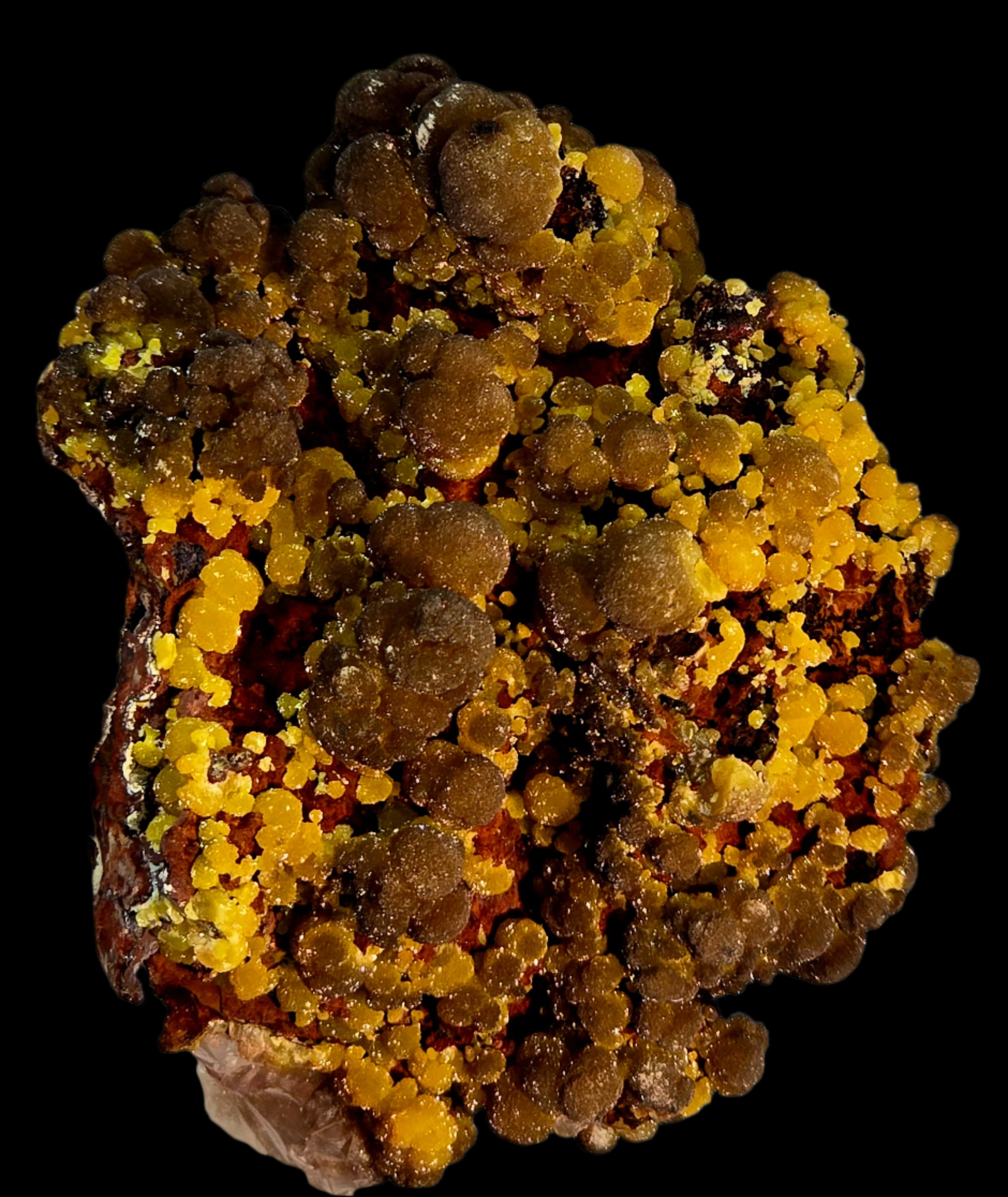 MIMETITE on LIMONITE, RHODOCHROSITE (cabinet)