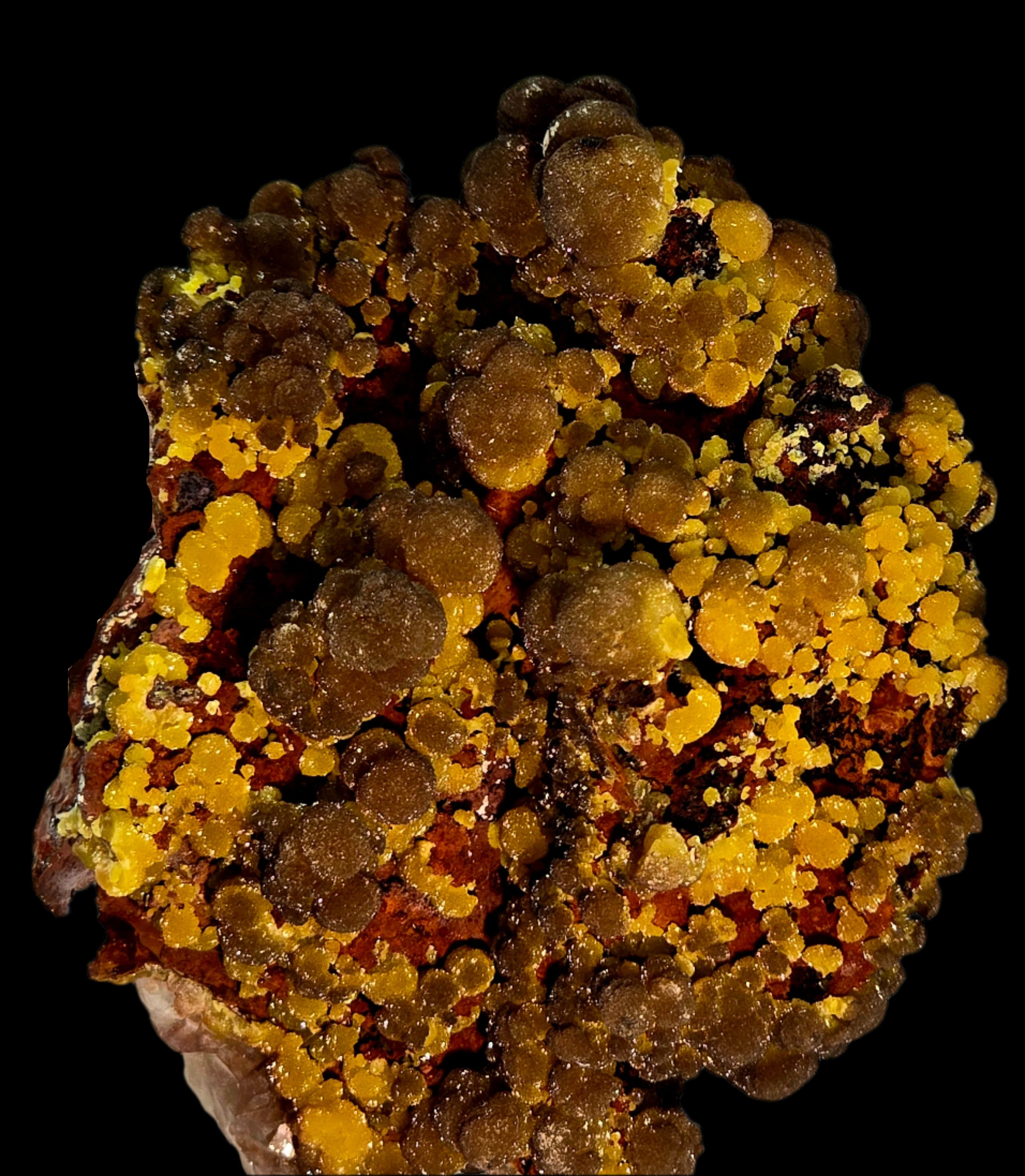 MIMETITE on LIMONITE, RHODOCHROSITE (cabinet)