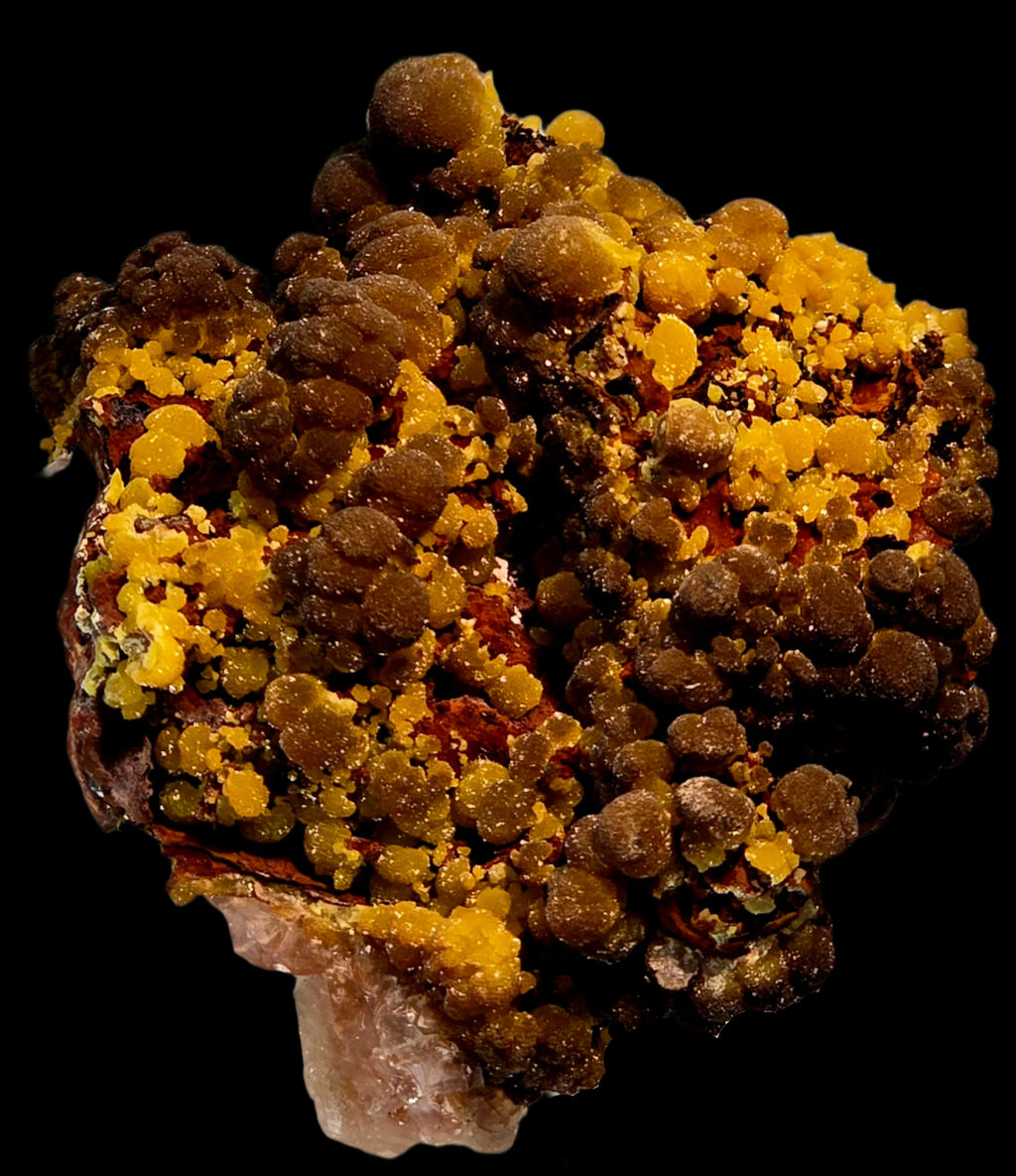 MIMETITE on LIMONITE, RHODOCHROSITE (cabinet)