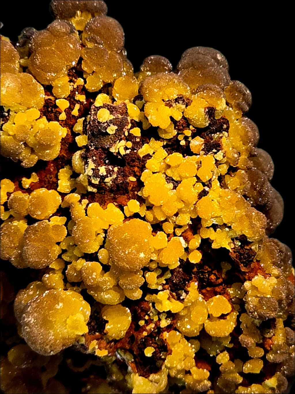 MIMETITE on LIMONITE, RHODOCHROSITE (cabinet)